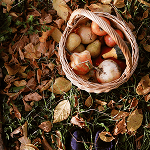 Atsiliepimas apie paslaugas