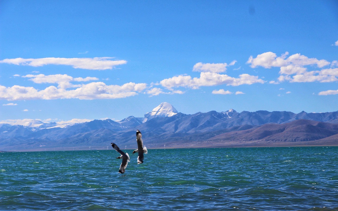 A man learning to surf