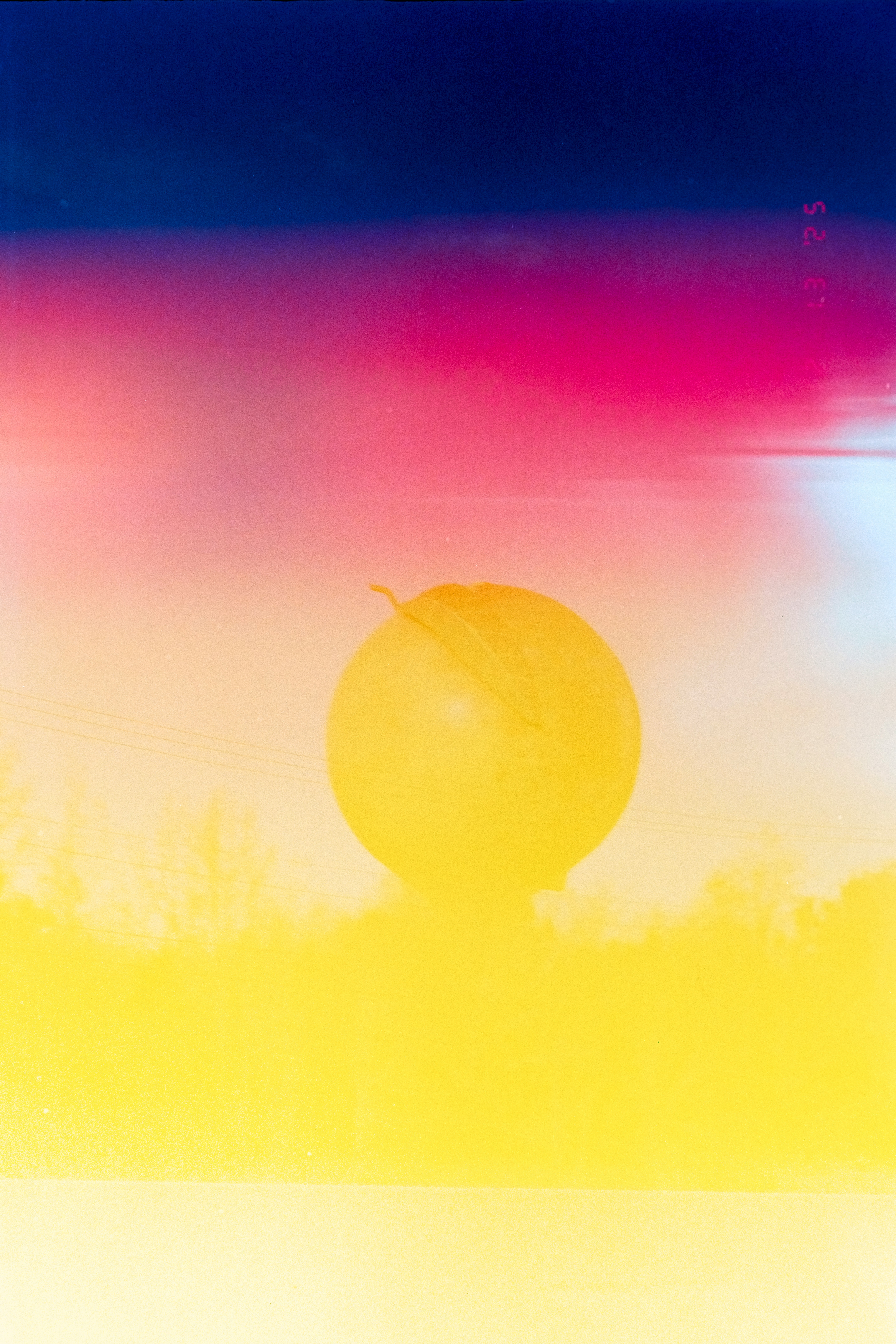 A bright orange against a vibrant, abstract sky.