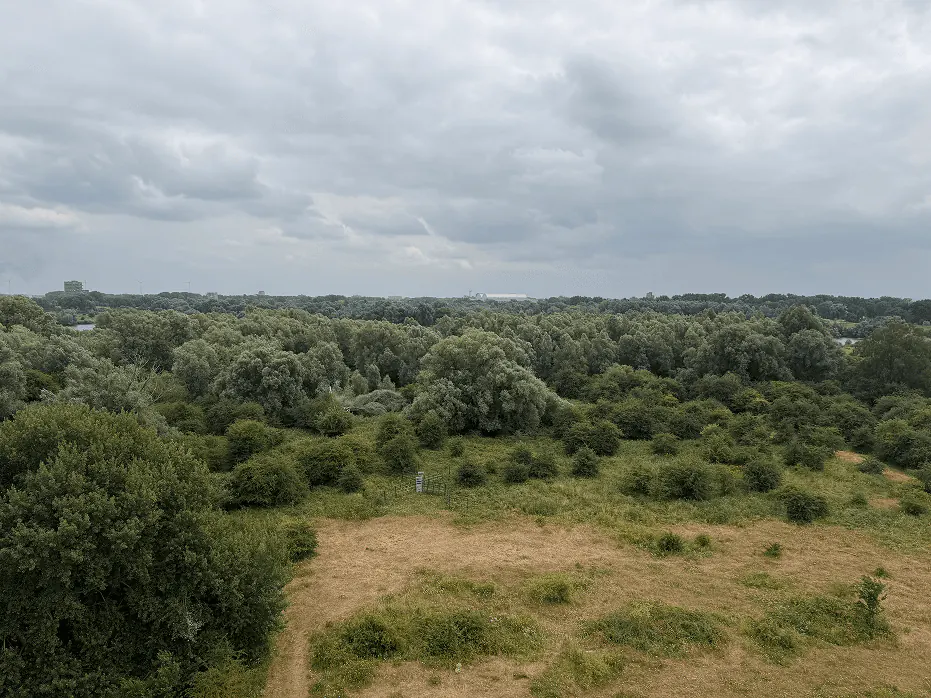 Broederschap livedag sfeerbeeld
