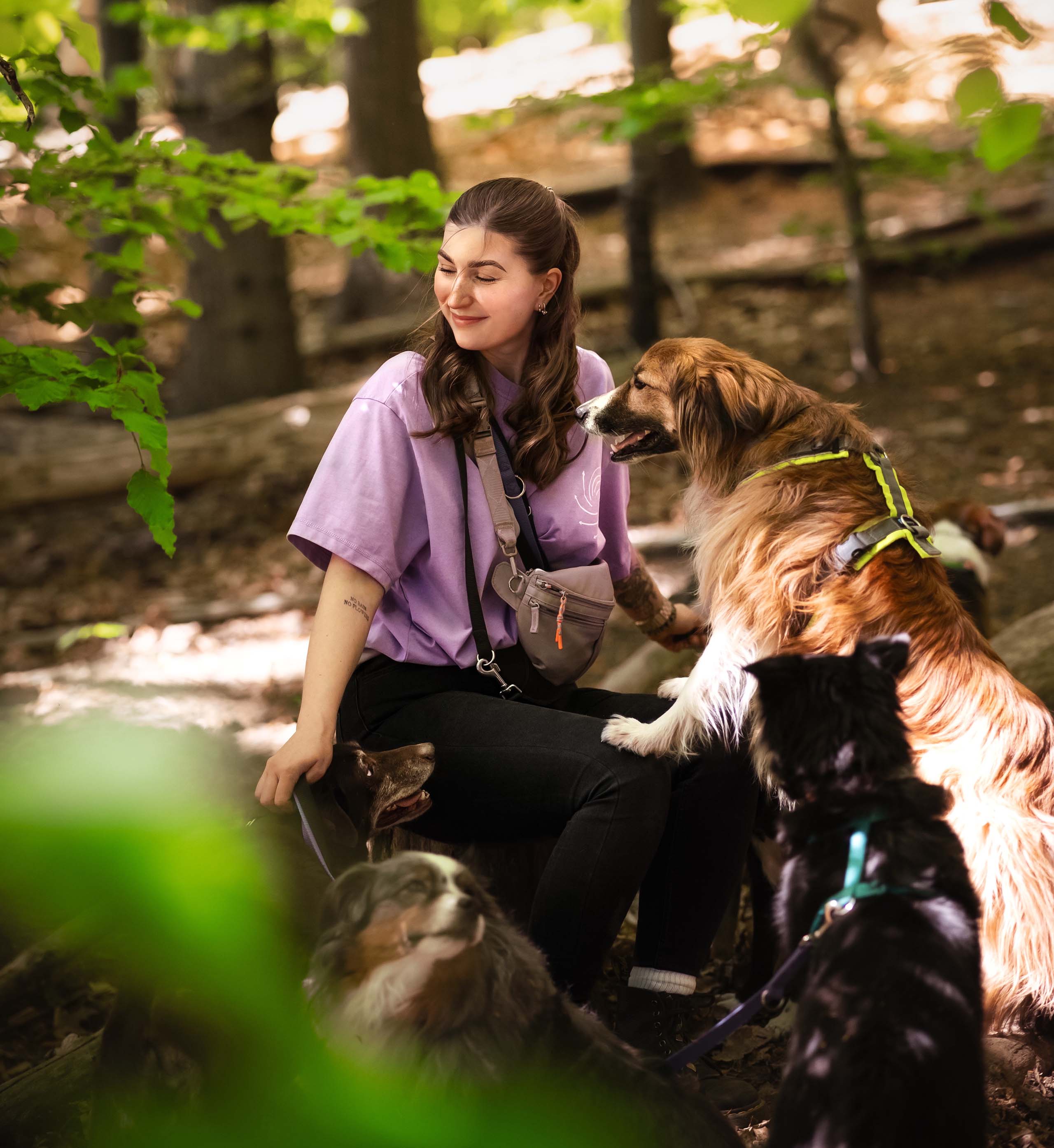 Xenia mit ihrer Hundegruppe