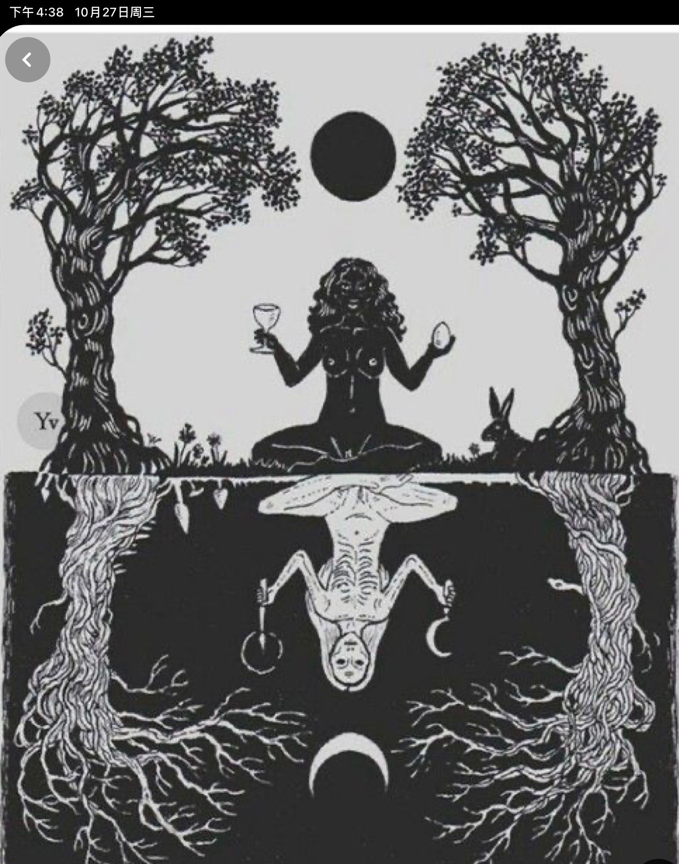 Irene Webflow template project image