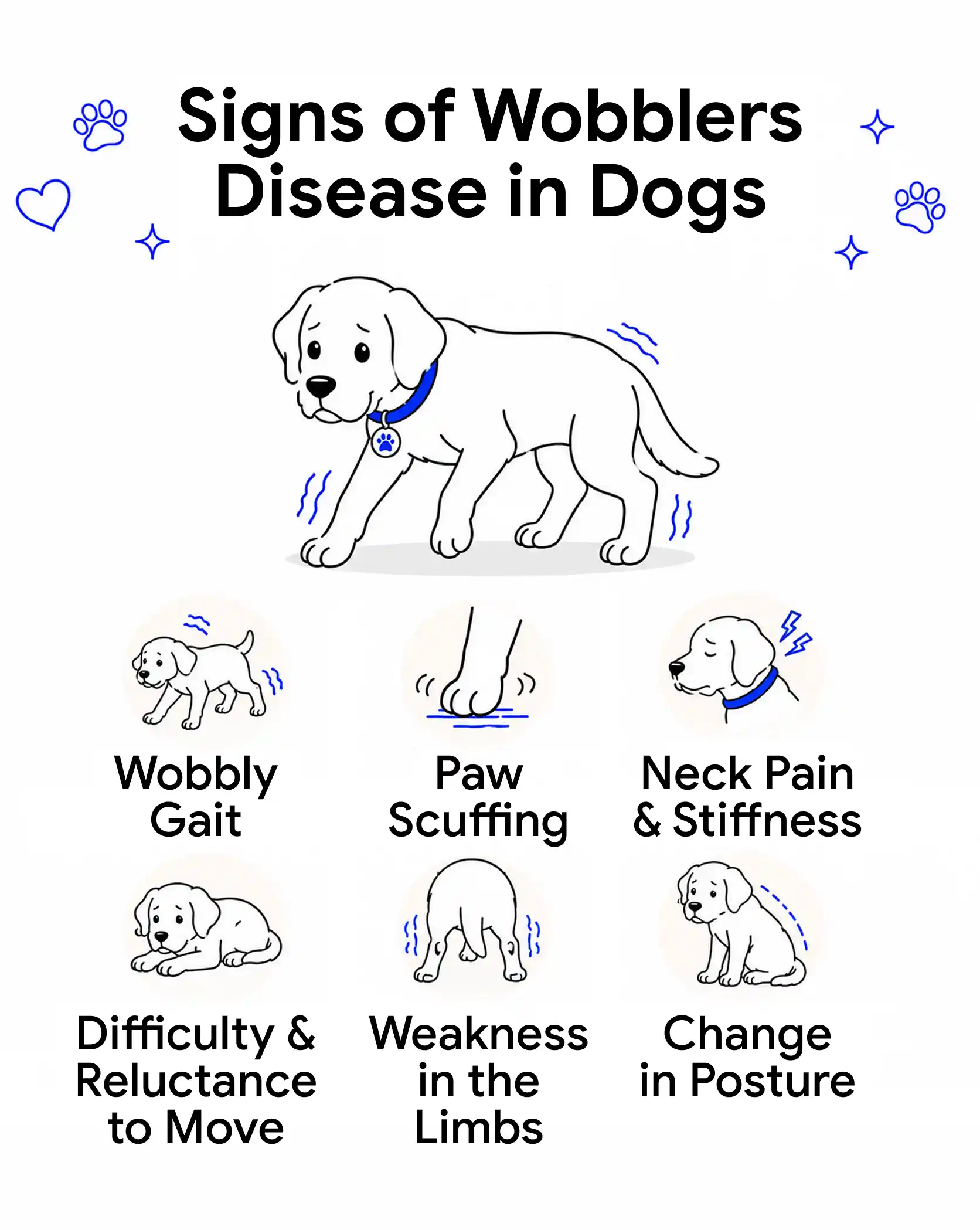An infographic highlighting the symptoms of Wobblers disease in dogs.