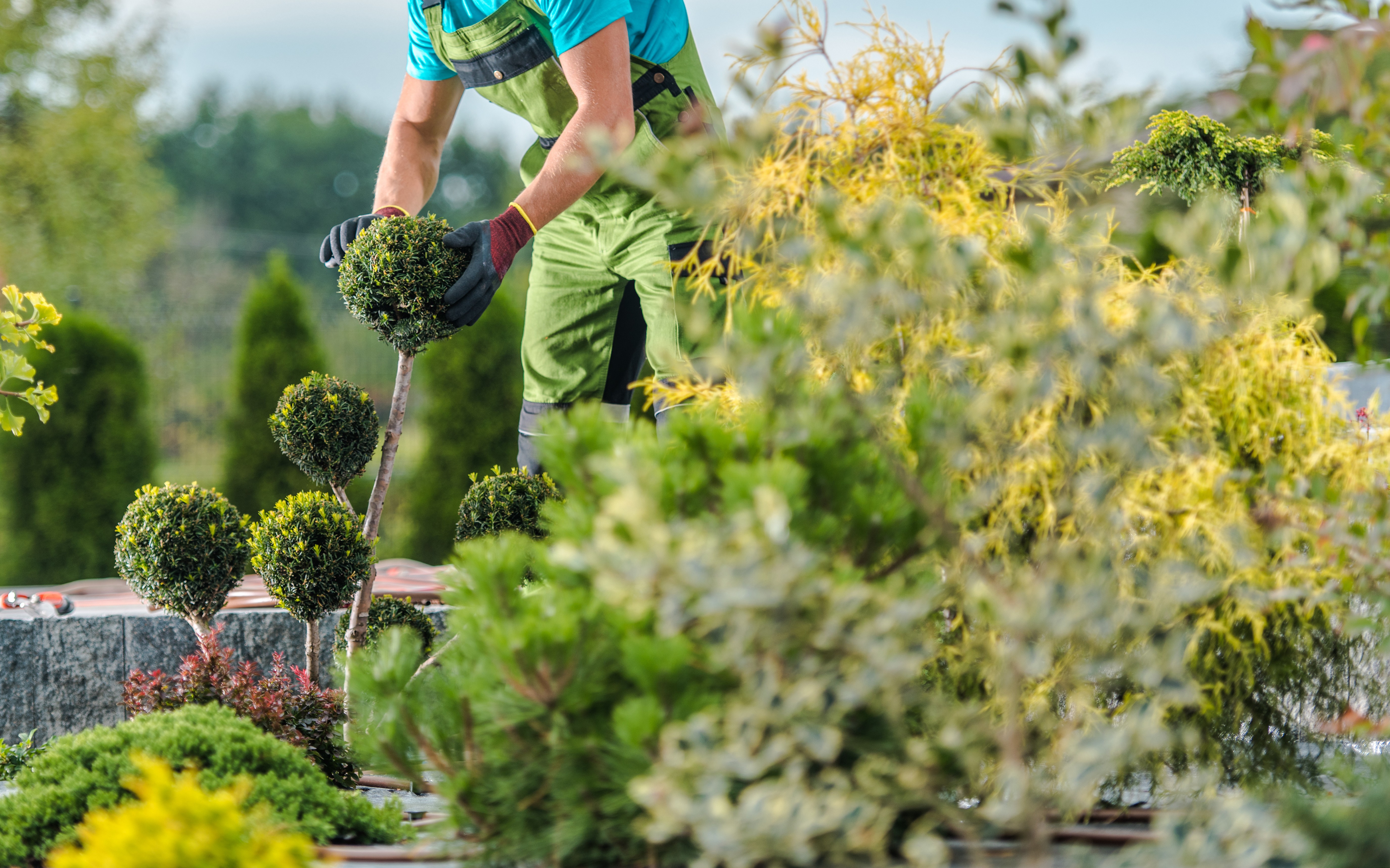 travaux de jardinage à besançon