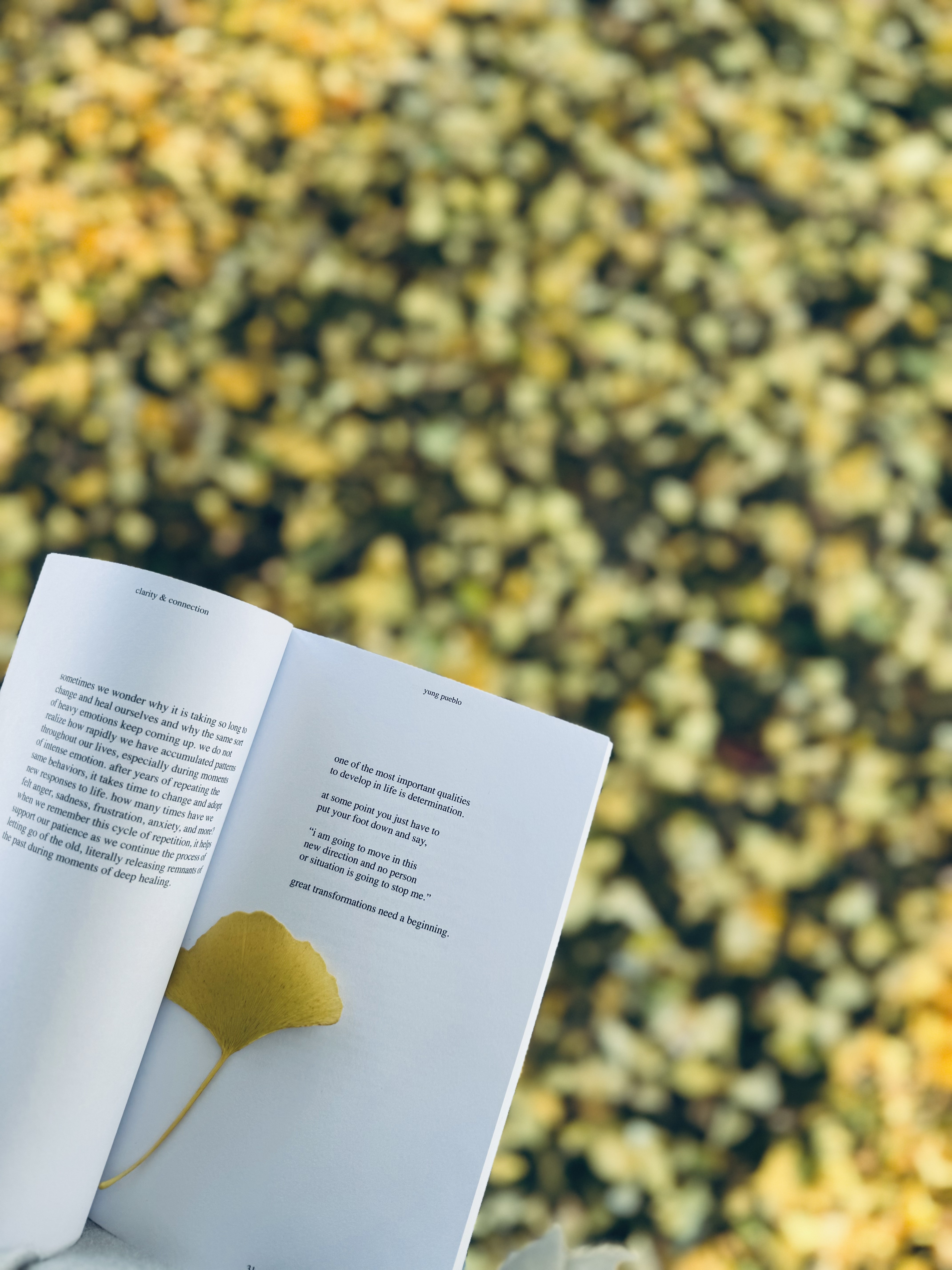Portrait of Jake Carter, young male designer wearing earphones and a white shirt, looking slightly upward with calm expression.