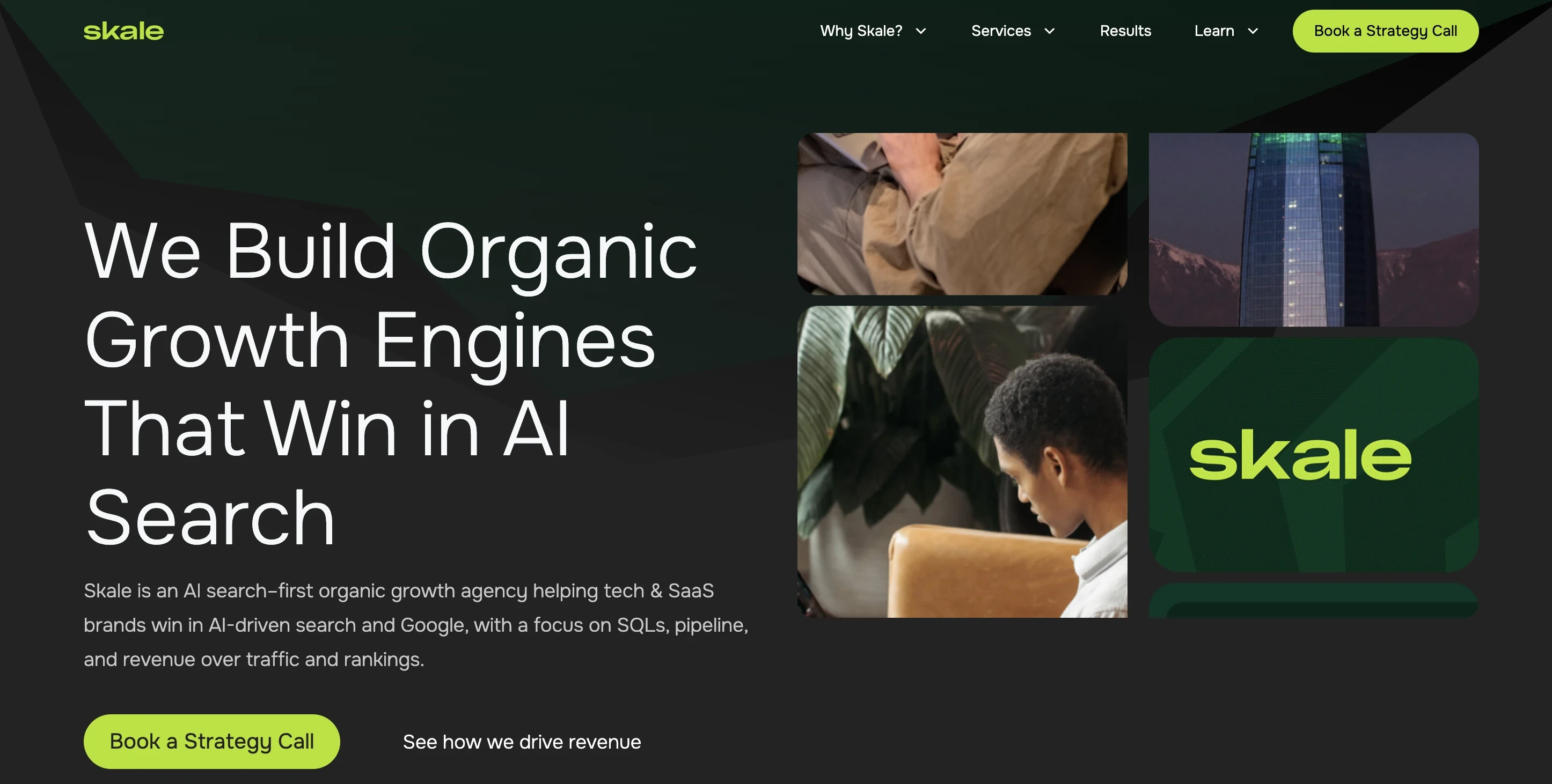 Screenshot of Skale homepage