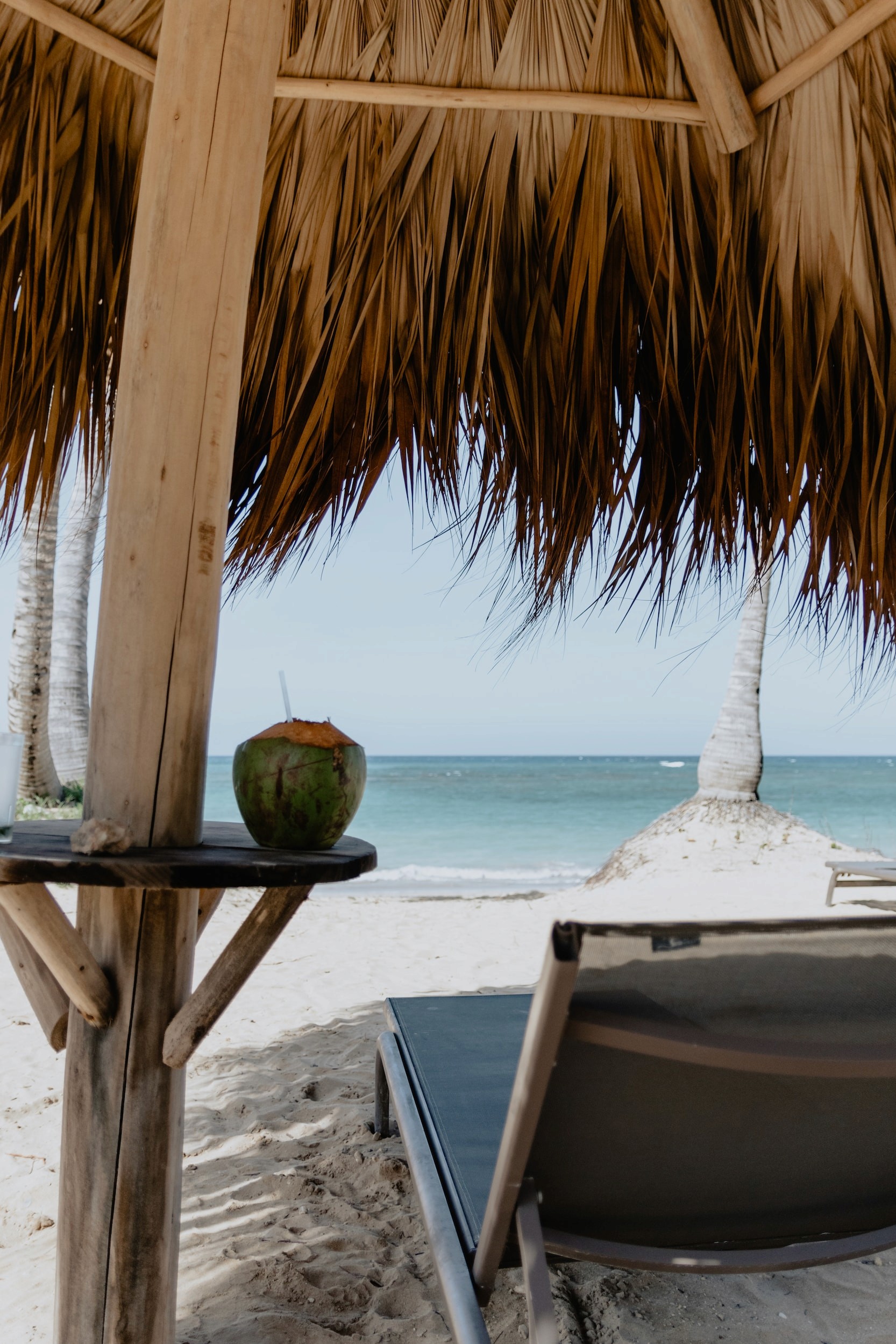 View from under a cabana facing the open sea with a coconut rested on a small bar table and a day bed for lounging