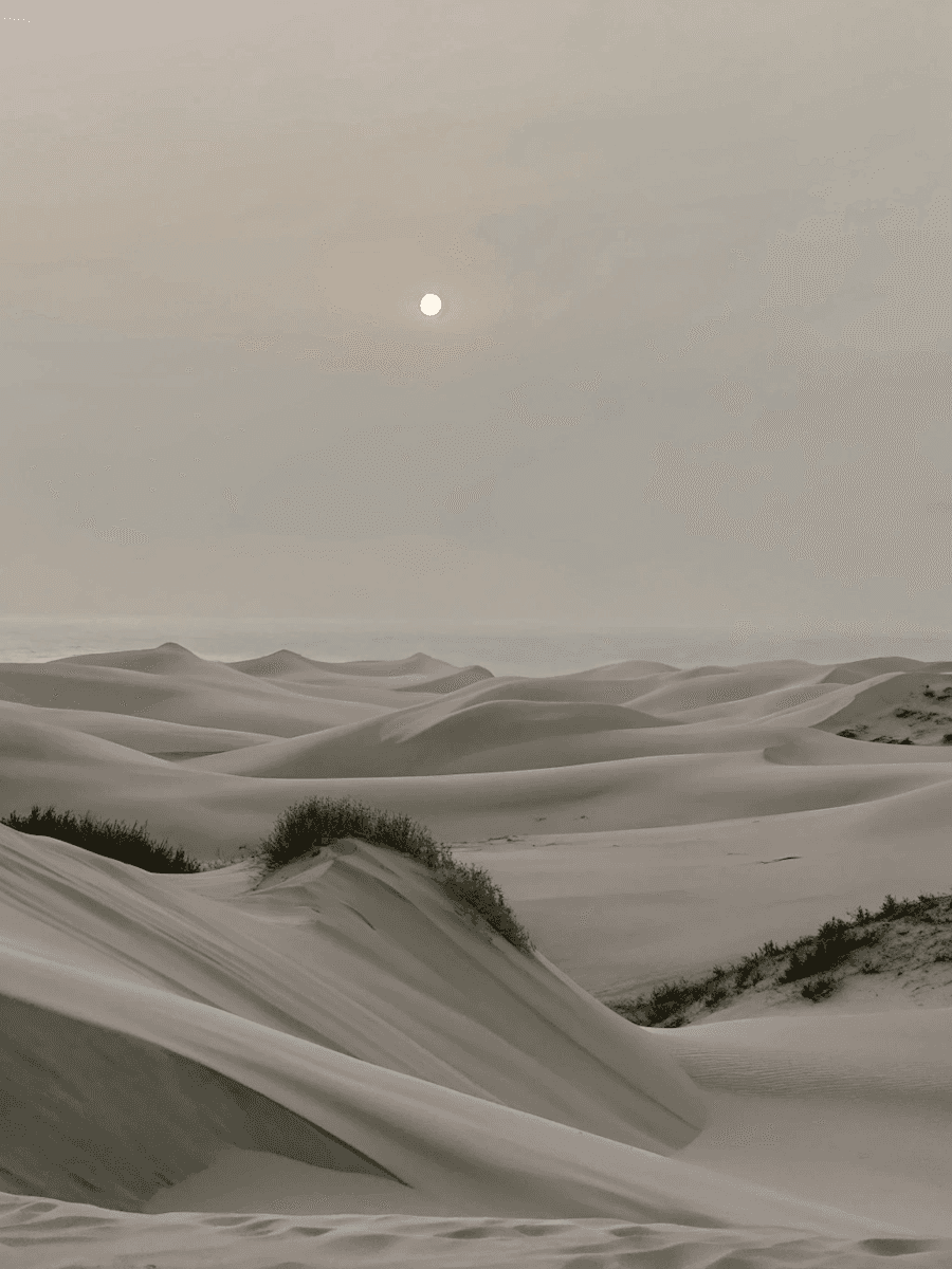 Wind blows sand across golden desert dunes.