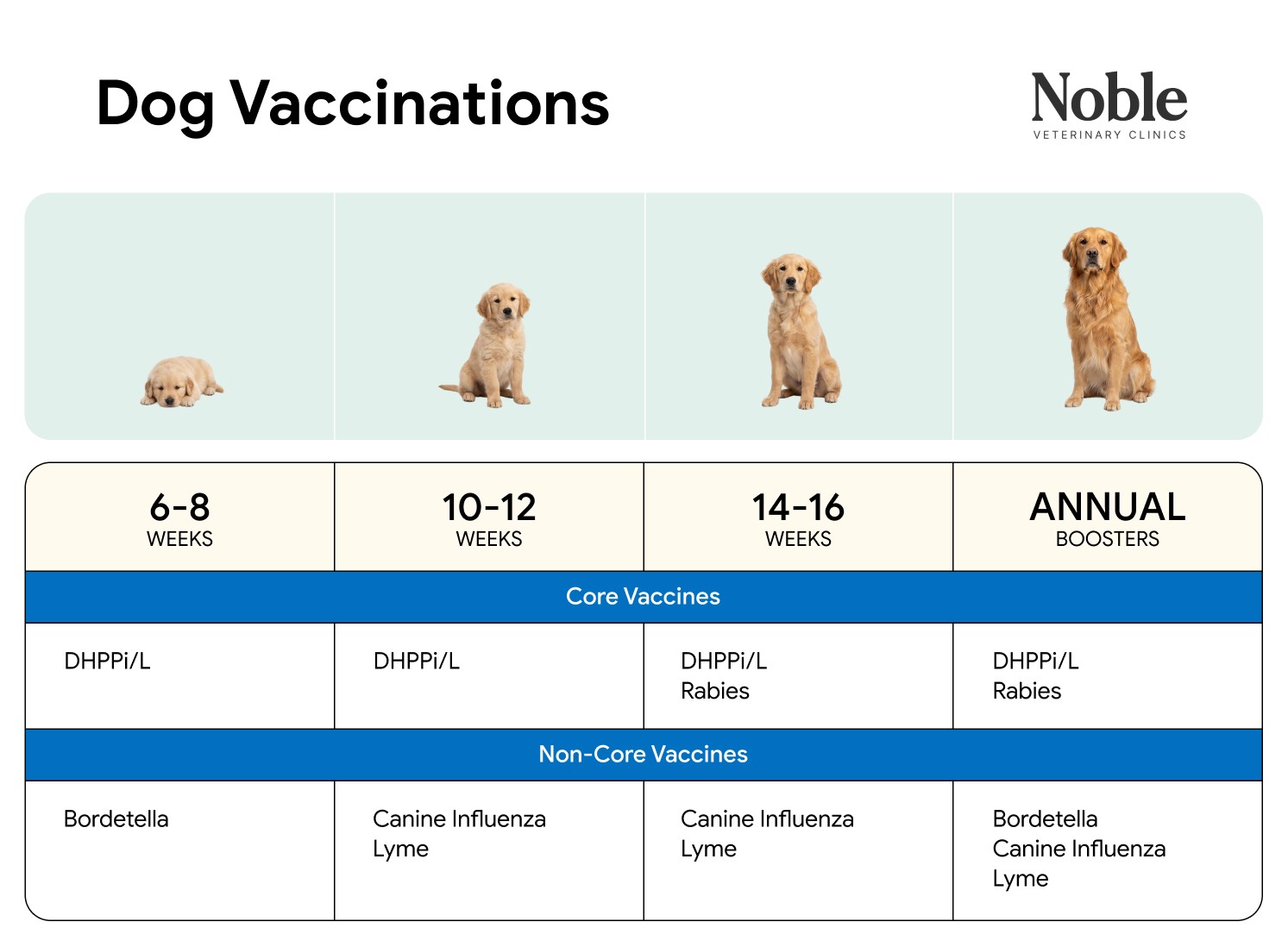 An image displaying the dog vaccination schedule for all life stages.