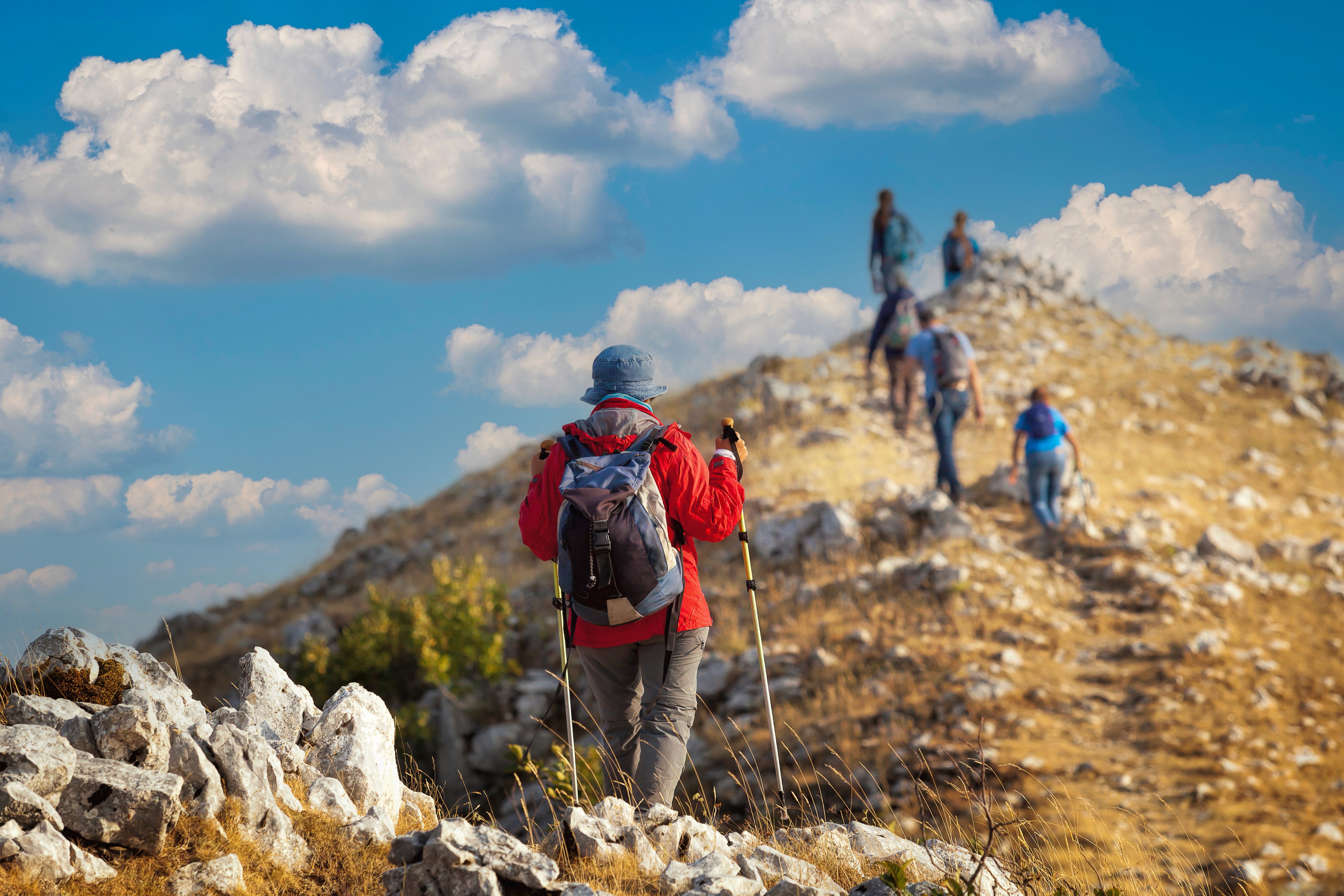 A group of hikers reaches the top of a mountain.