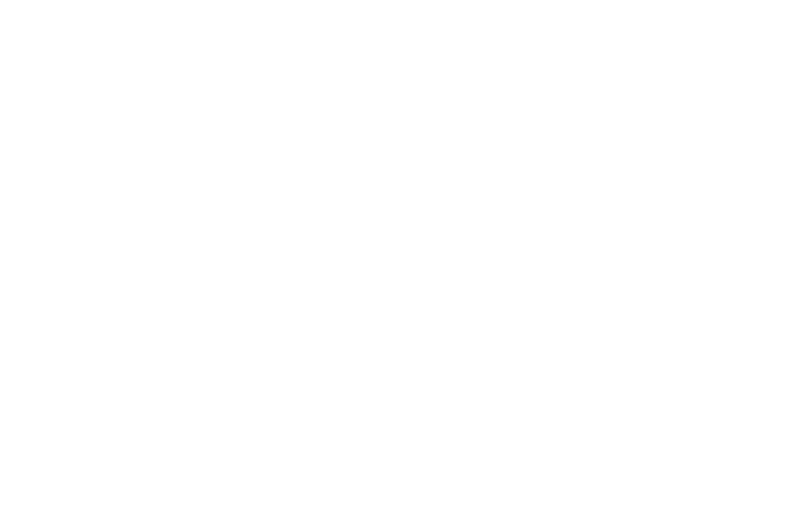 Puzzle blanc 6