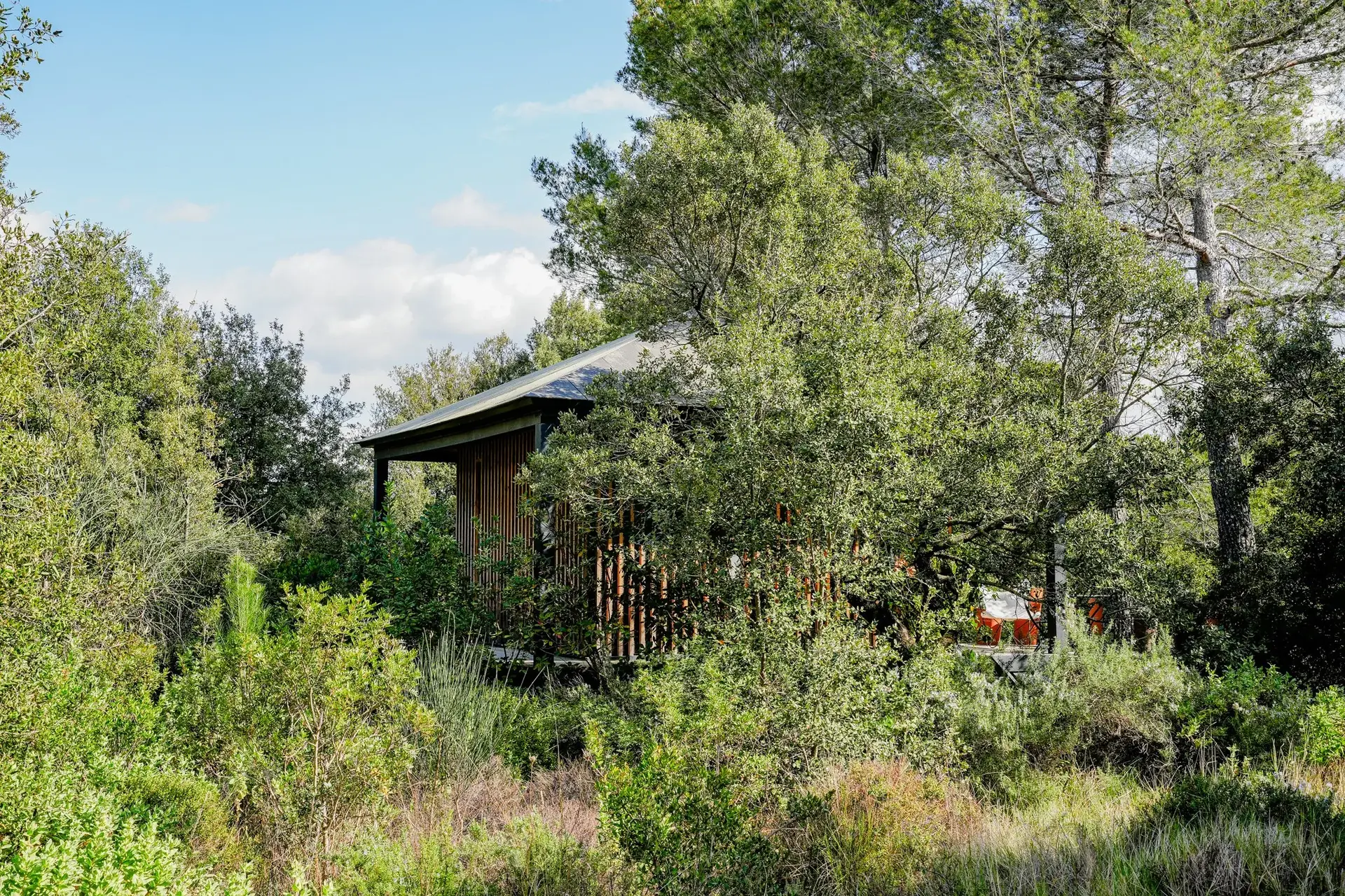 Écolodge Monte Verdi intégré dans la végétation dense du domaine, vue d'ensemble depuis le jardin