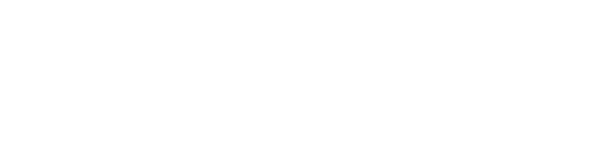 Logo of Lightspeed