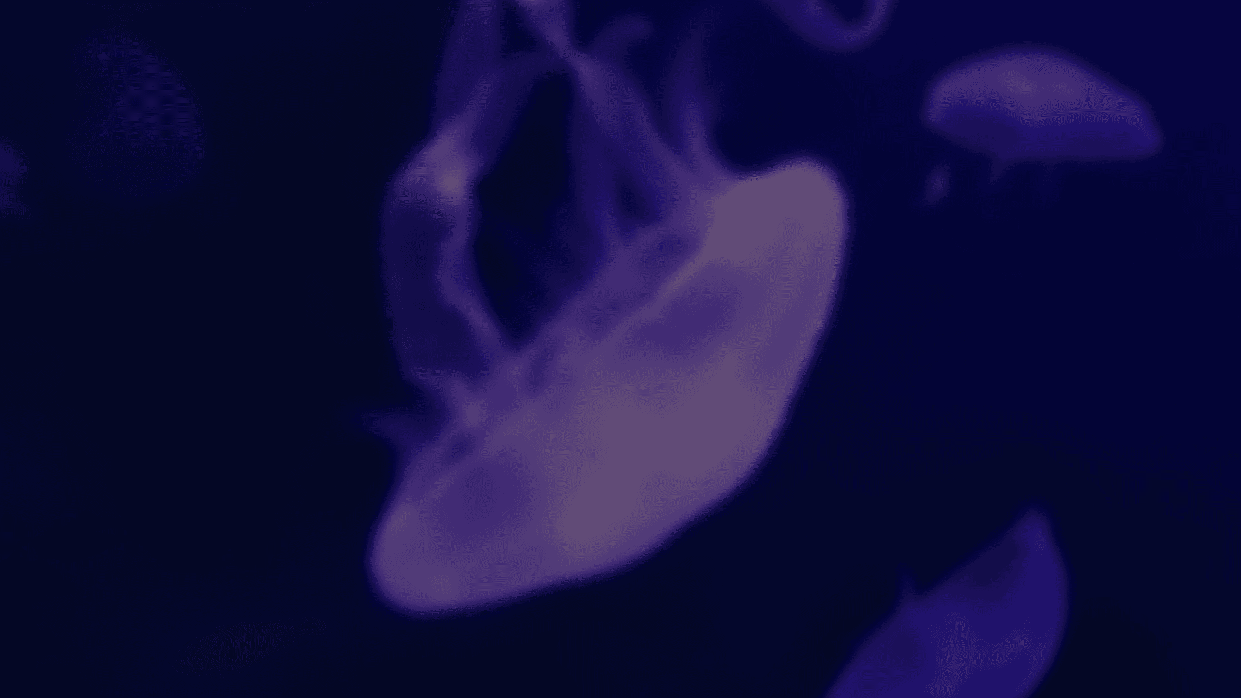 Blurry Background Image