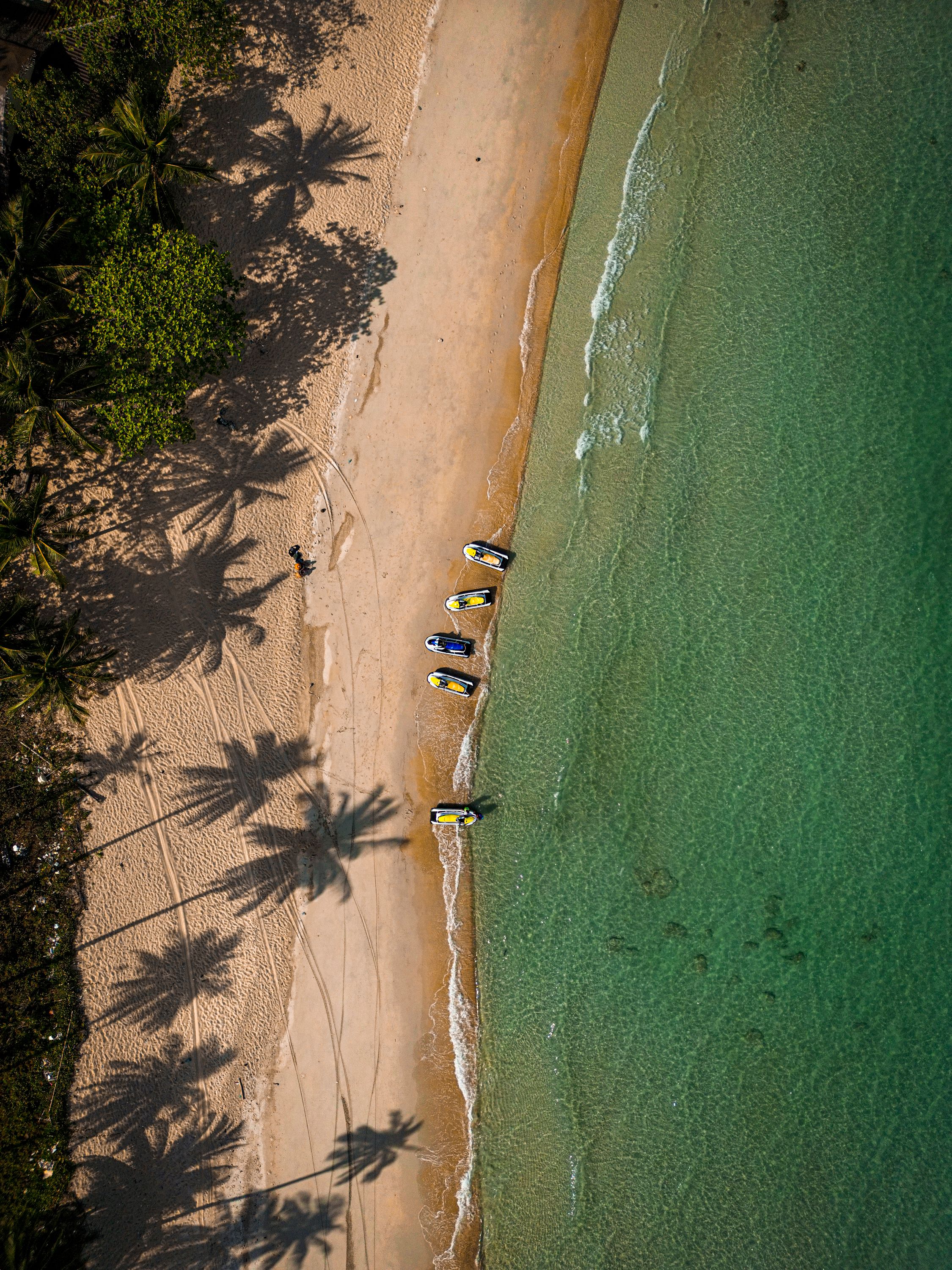 Close-up of a dark green leaf showing its textured surface and central vein against a muted background.