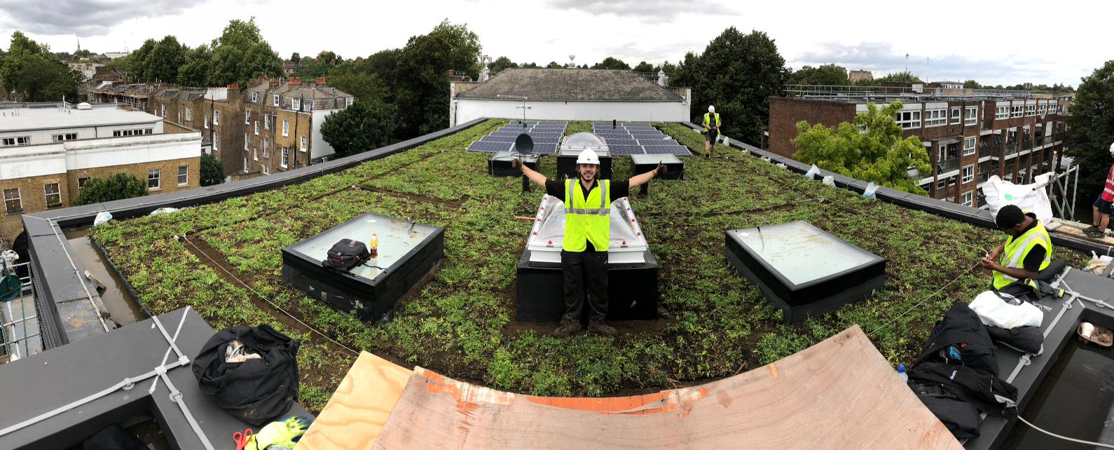 A panoramic view of a grassy outdoor area with several white lounge chairs and tables arranged for an event.