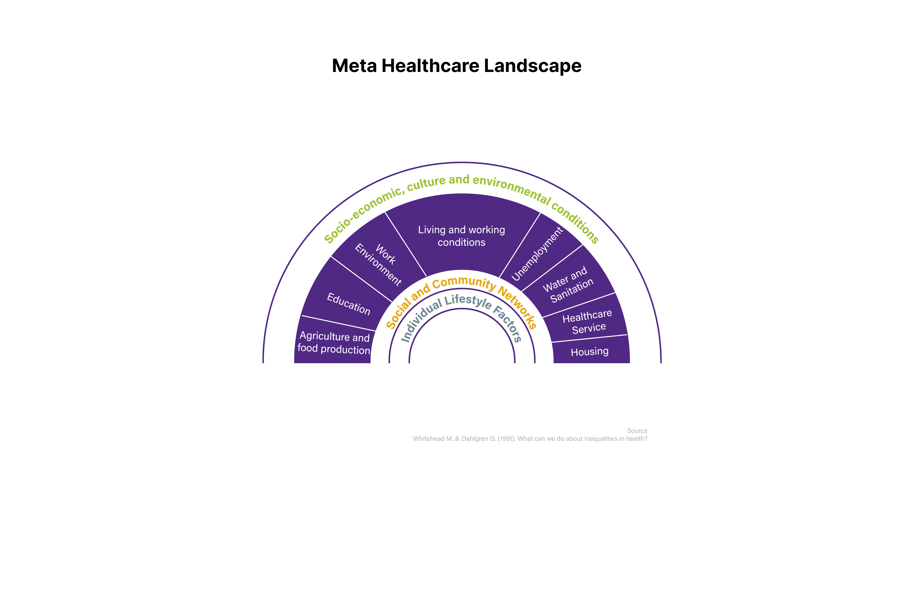 Meta Healthcare Landscape