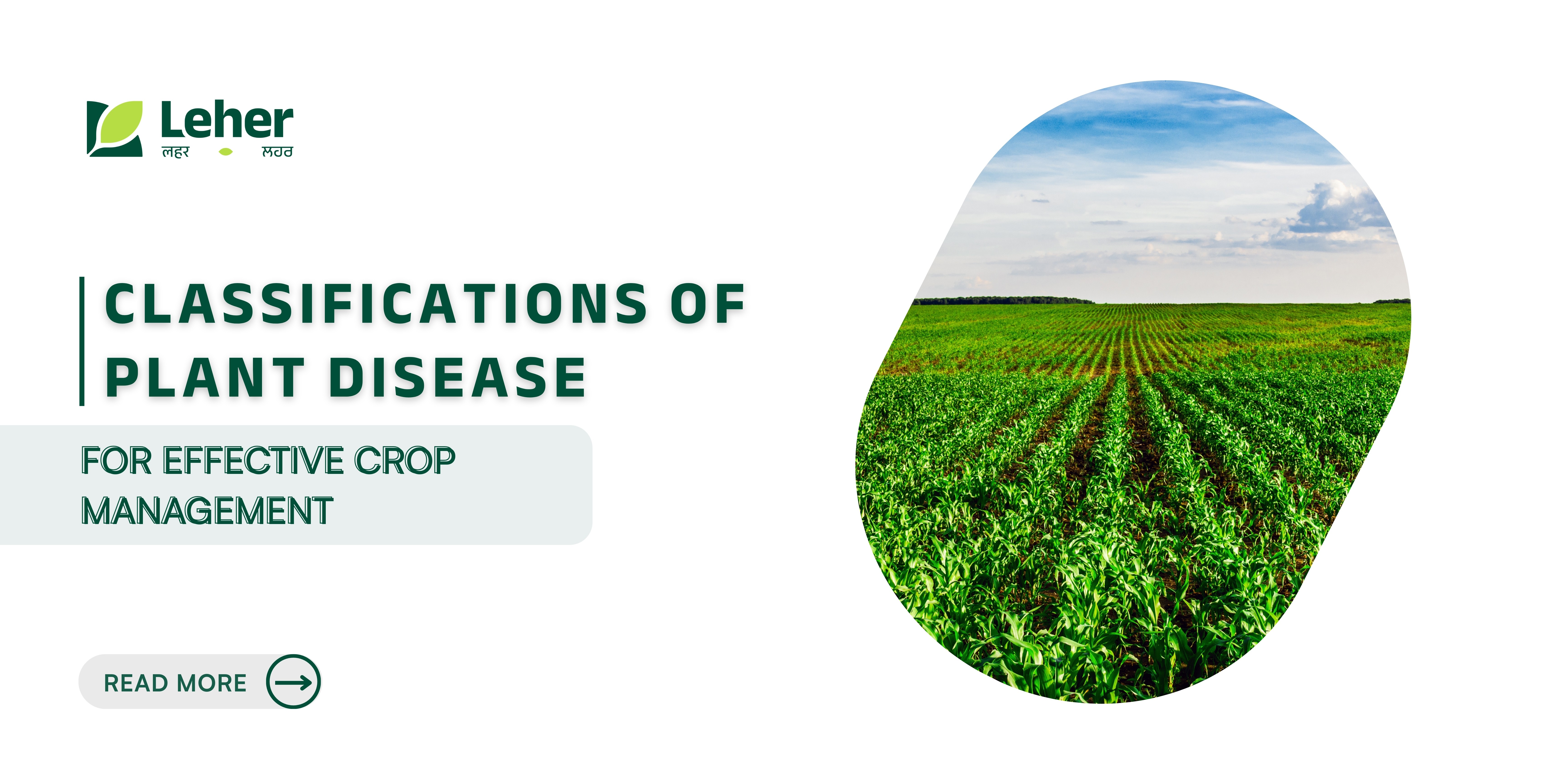 5 Major Classifications of Plant Disease for Effective Crop Management
