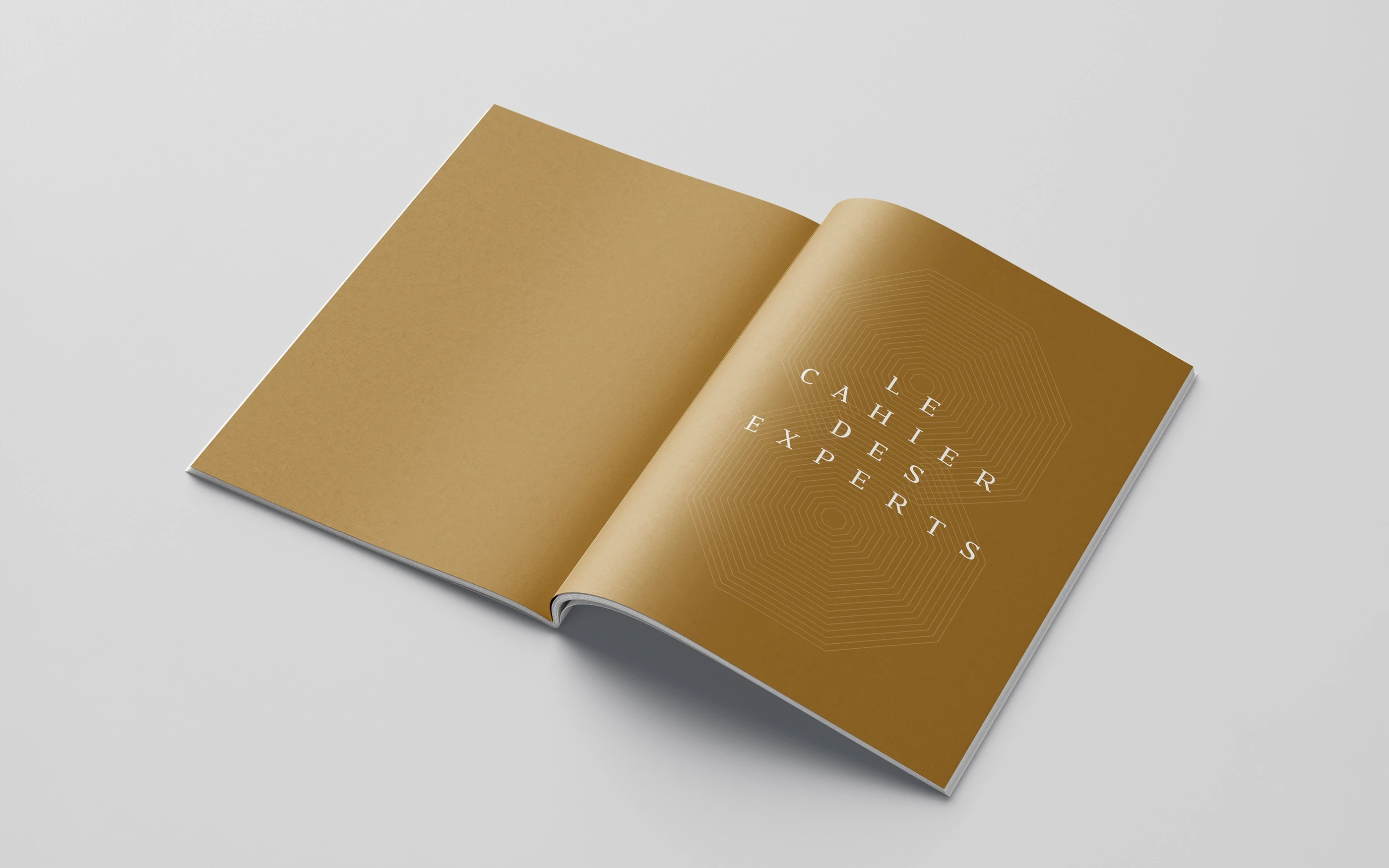 Rapport responsabilité environnementale et sociale 2019