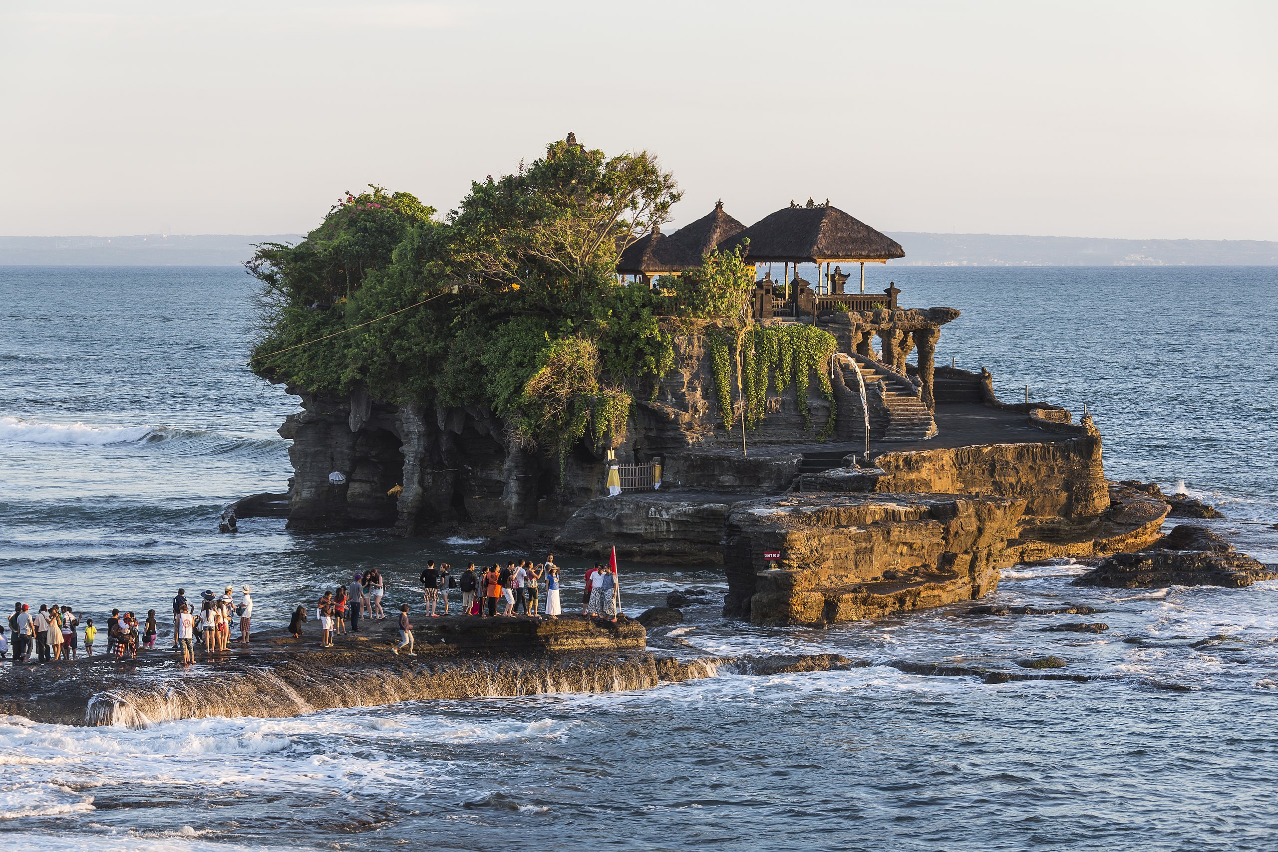 Scenic Seseh rice fields and property reflection, showcasing local expertise in Bali real estate agent services.