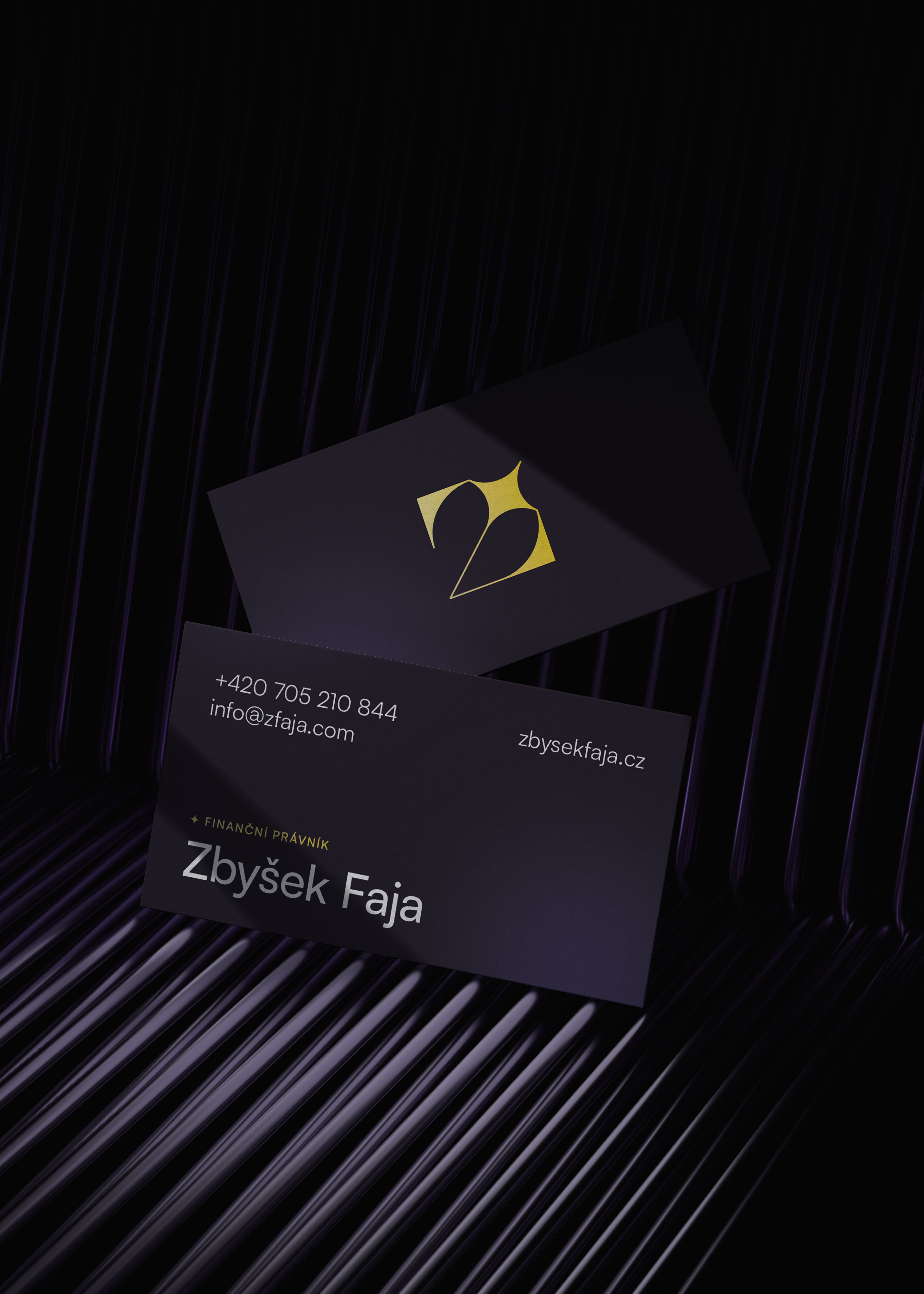 Zbysek Faja - business card mockup