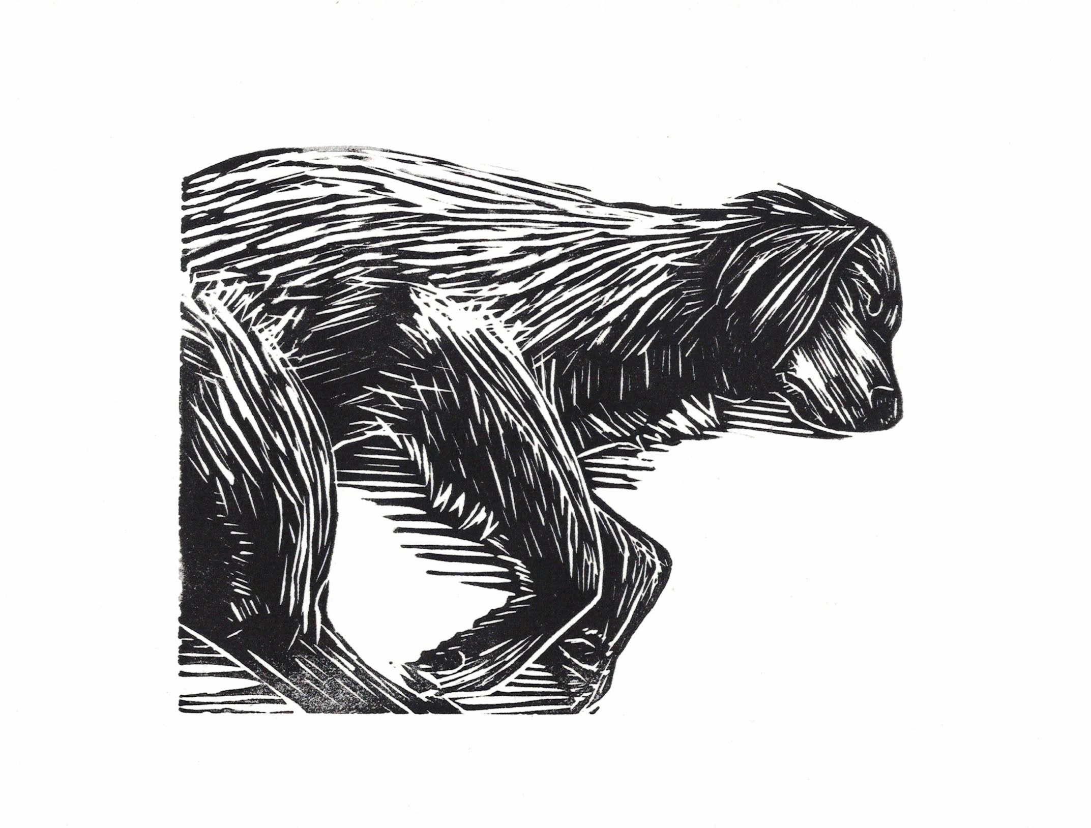 black and white relief print of a sleeping dog