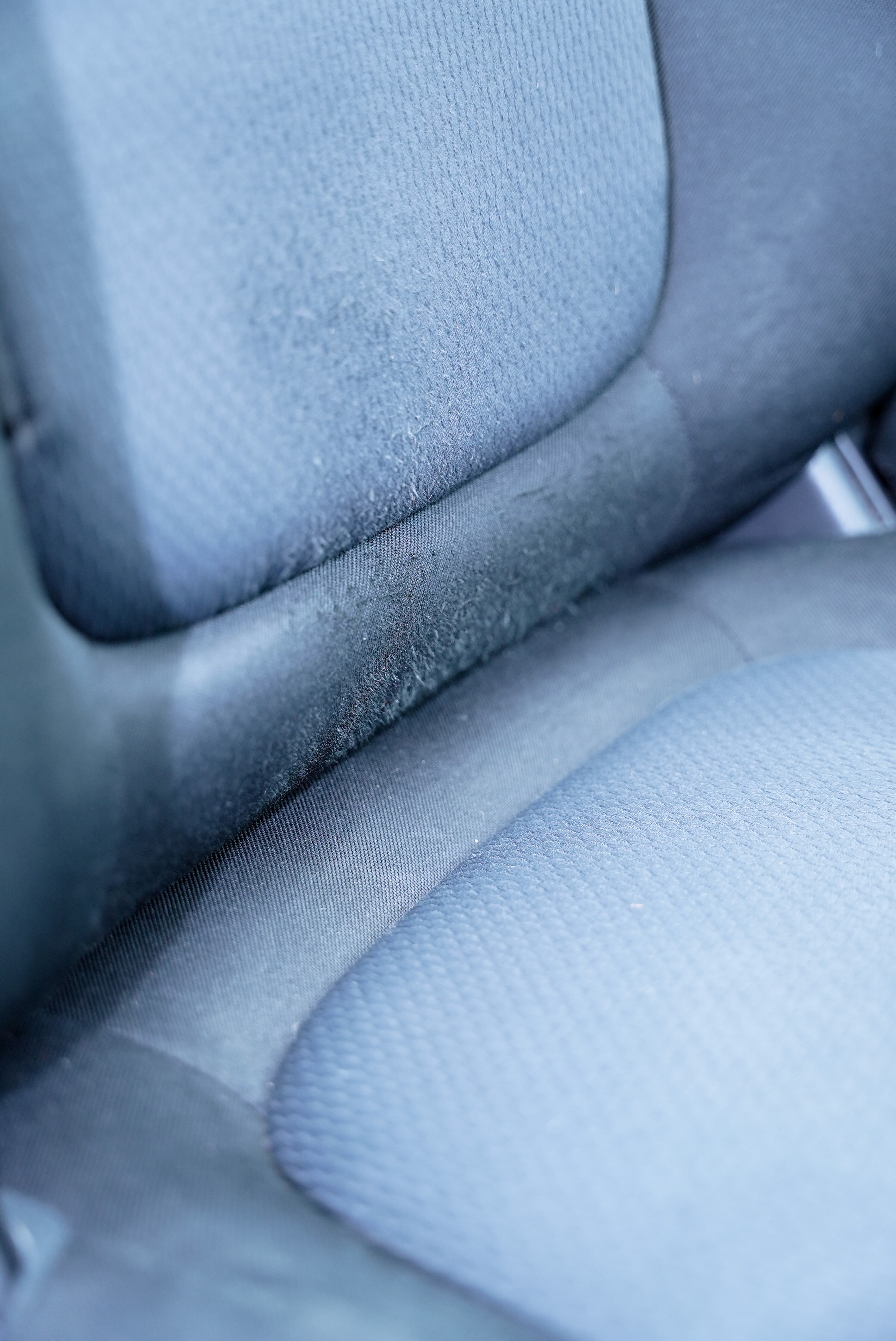 Complete fur free pet hair removal results Toronto"