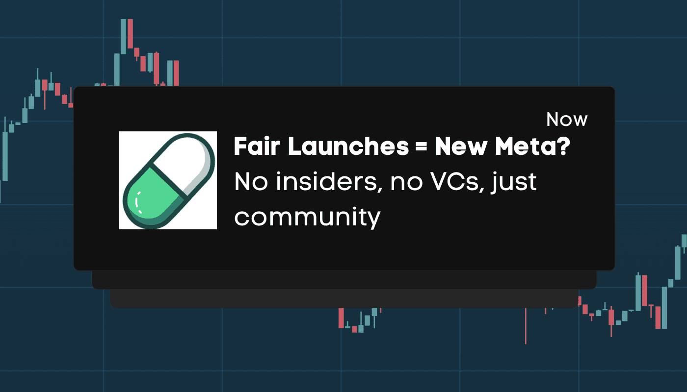 Fair Launch = New Meta?