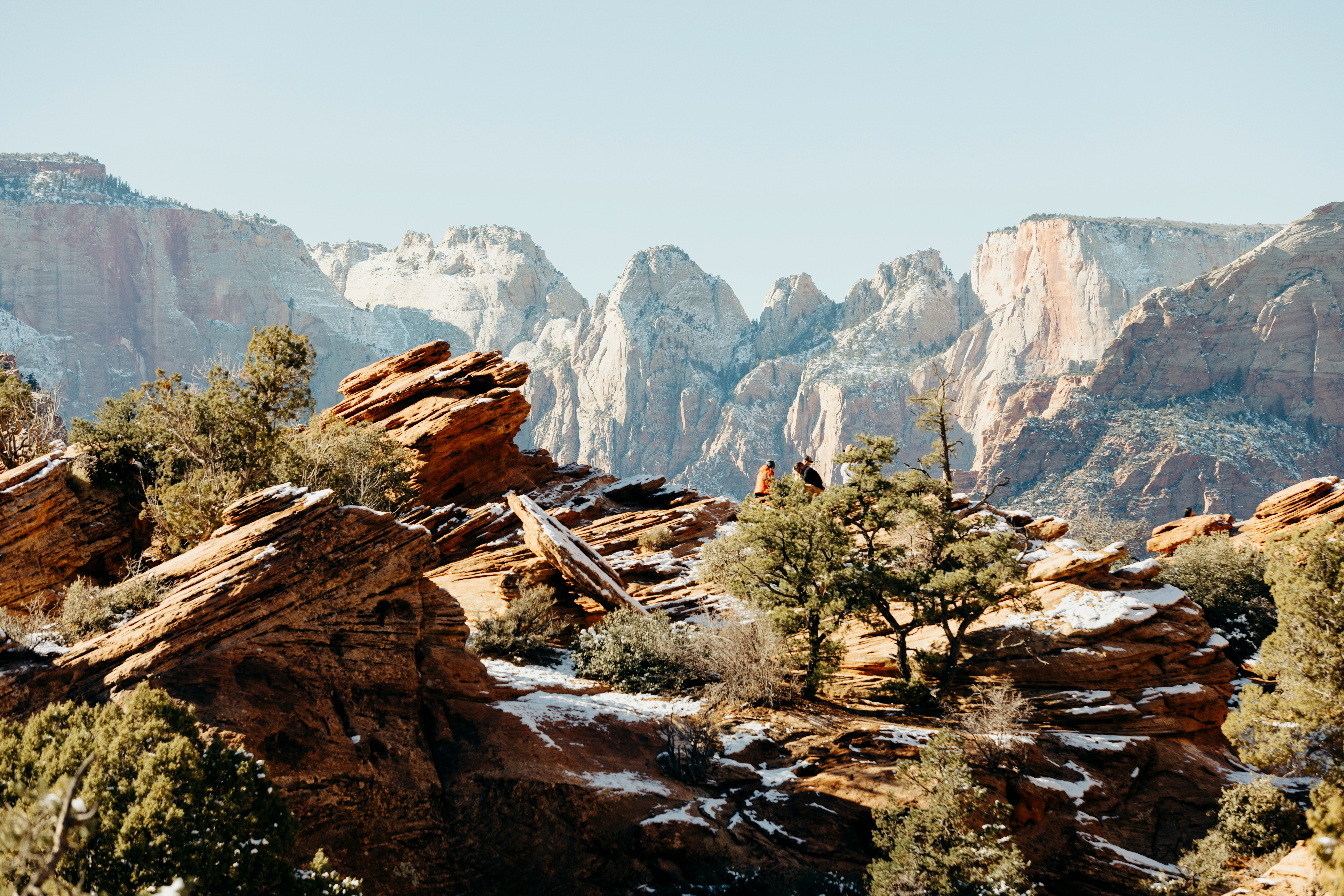 Rocky desert landscape with sparse trees and distant mountains