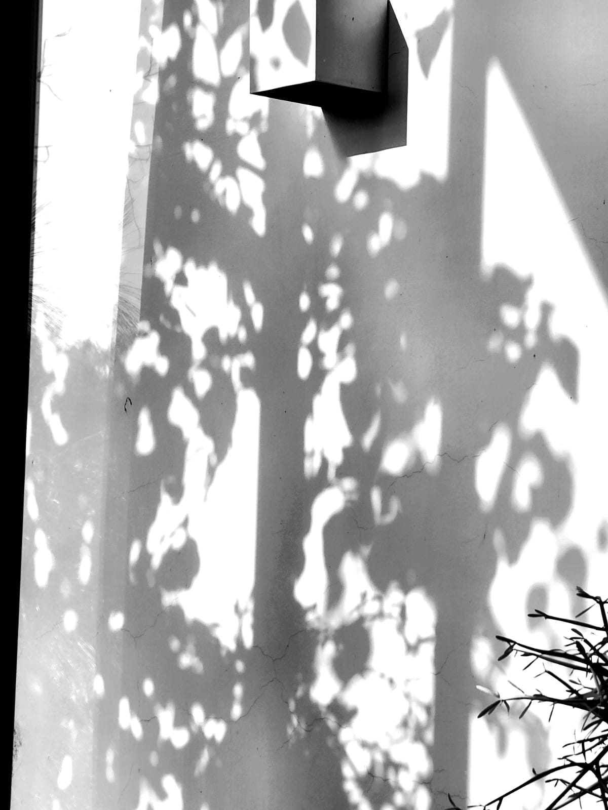 Bob Truman the Artist