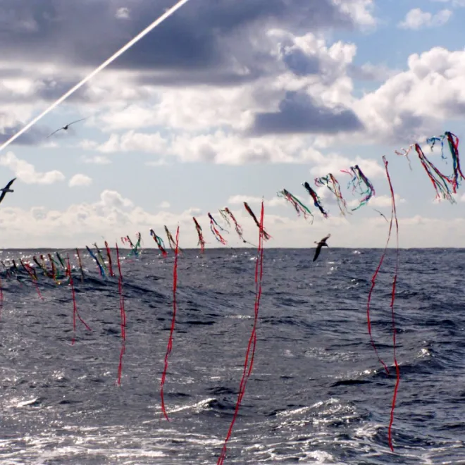 Albatross Task Force