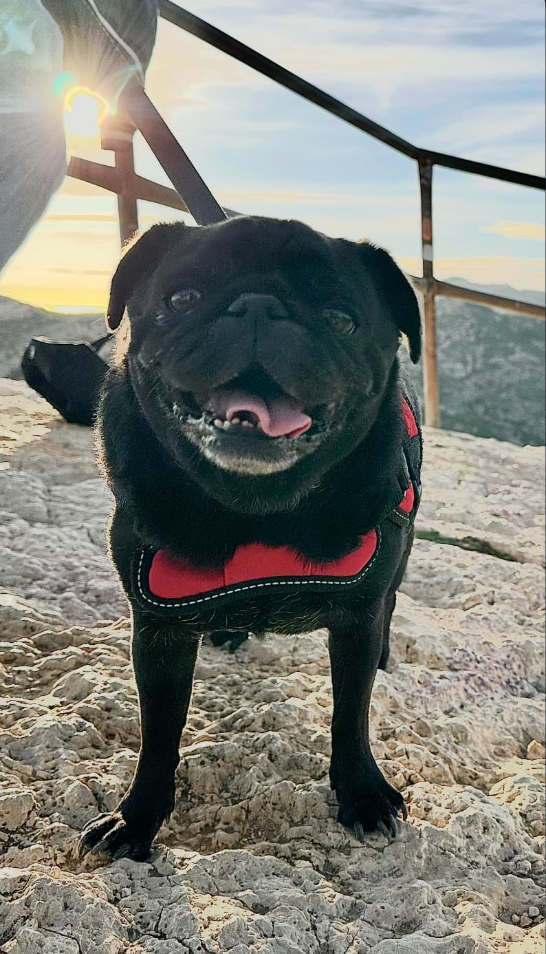green chairs under umbrellas on shore