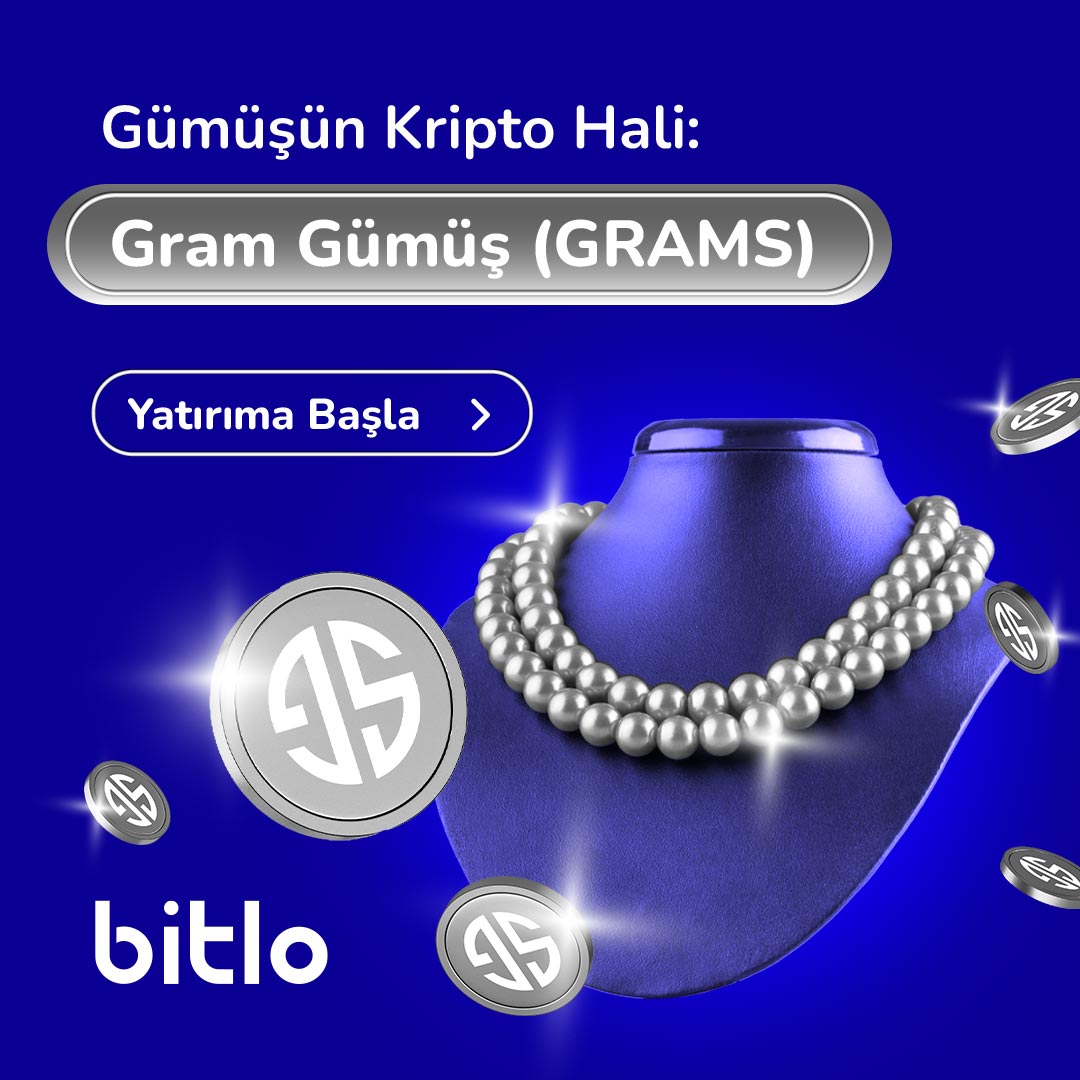 bitlo-sem-silver2