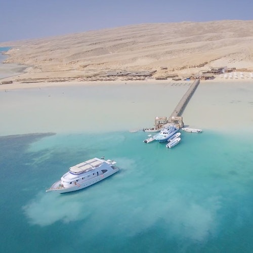 Perjalanan Snorkeling ke Pulau Orange Bay