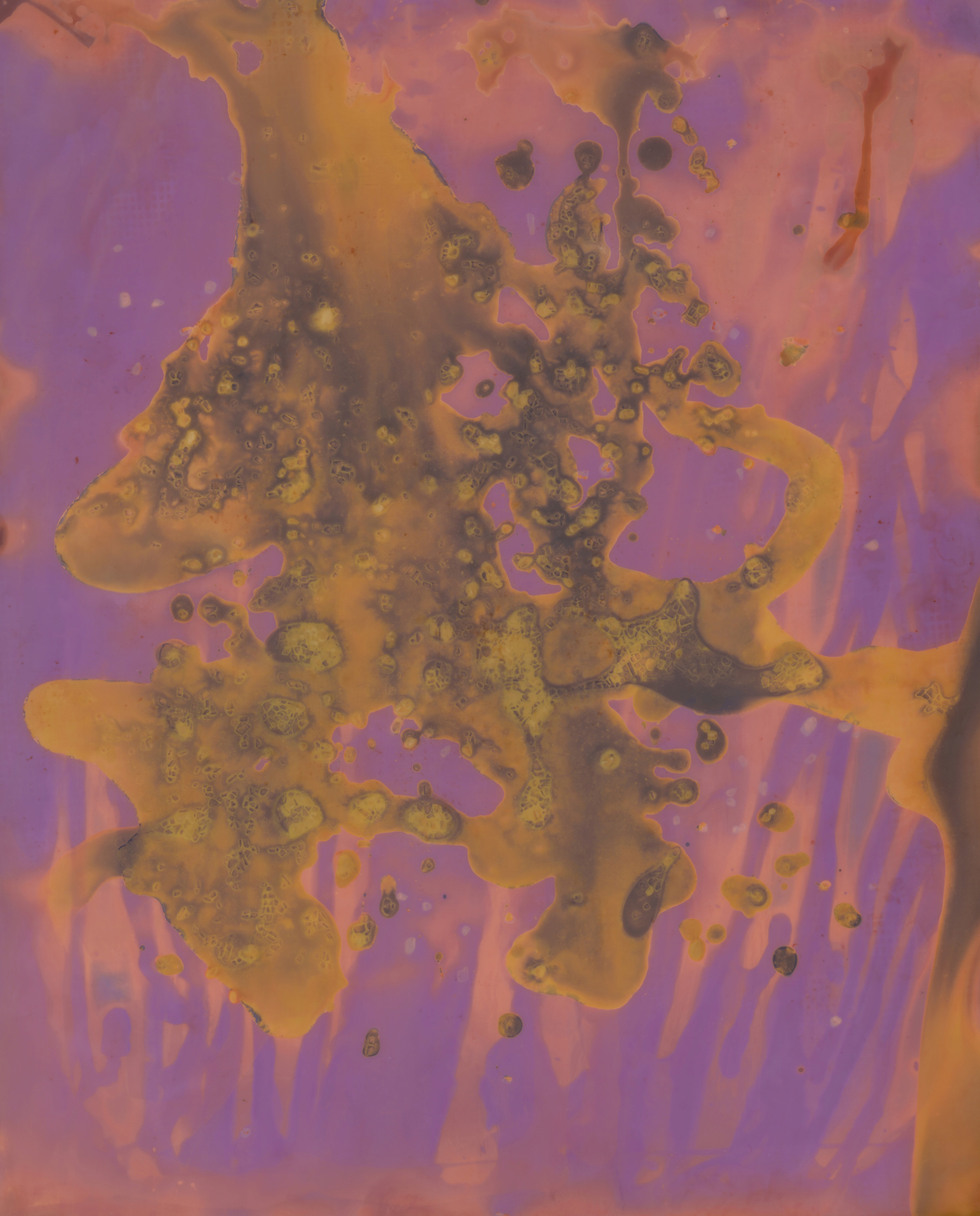 low angle photography of building