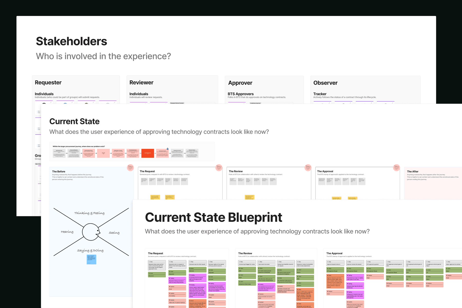 trees on forest with sun rays