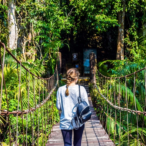 考艾國家公園步道