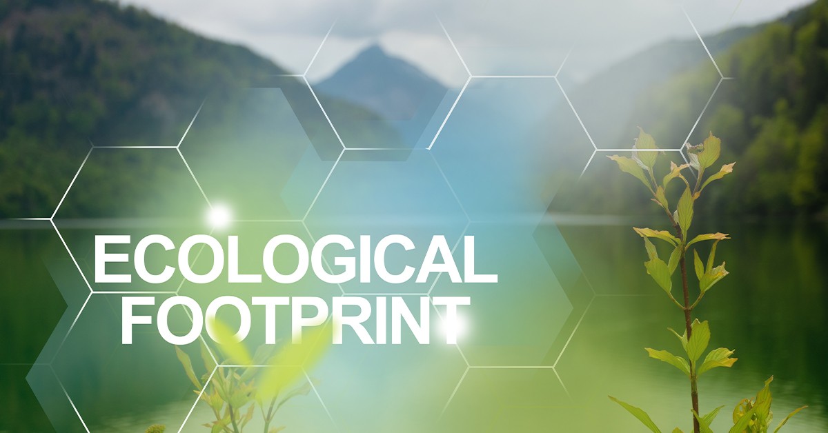 Nachhaltige Verpackung für Lebensmittel & Tiernahrung mit Globus und Natur Hintergrund