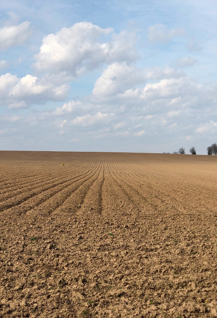 Precizní zemědělství – využití dat z dronů a družic pro efektivní hospodaření