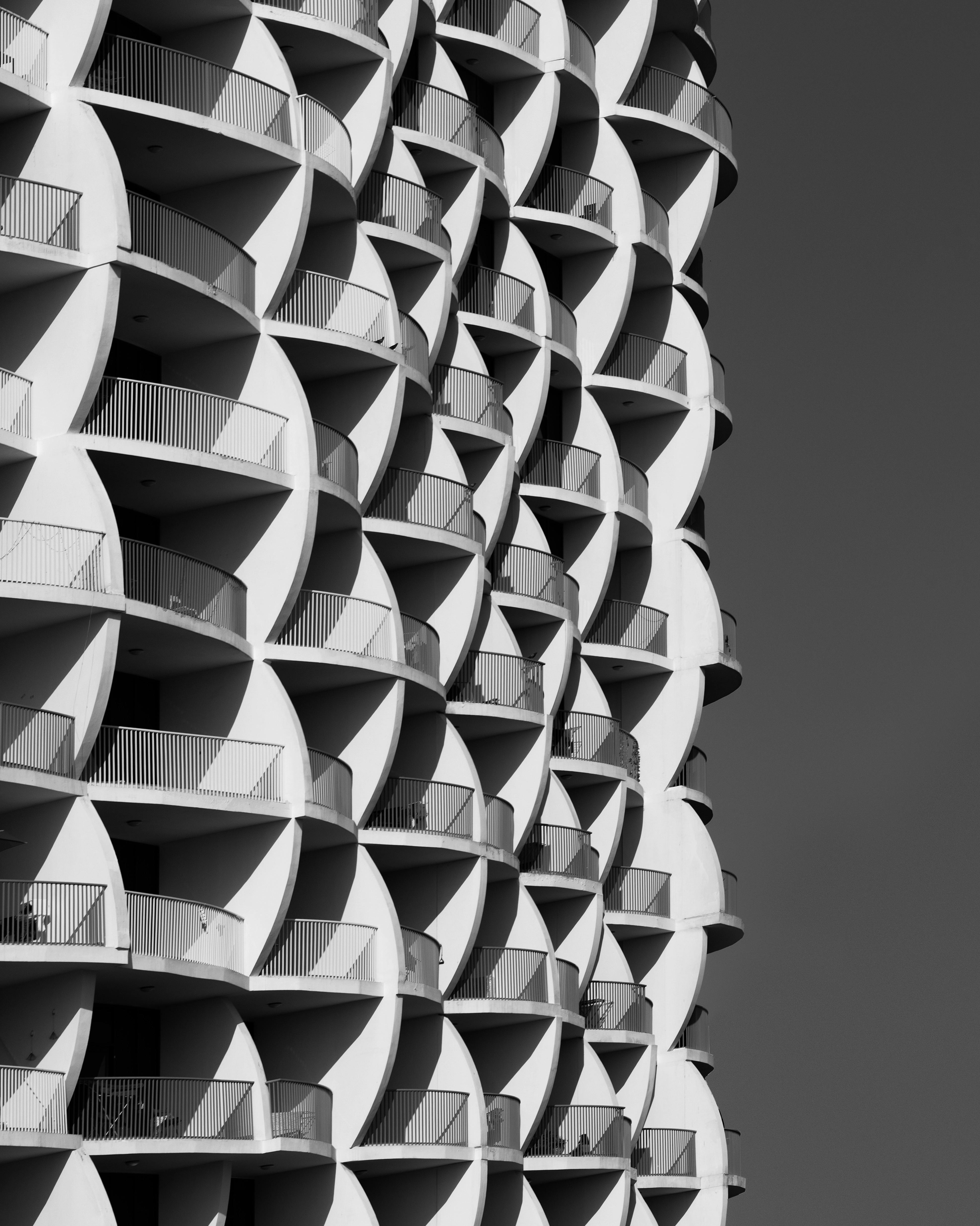 Maximilian Schneider