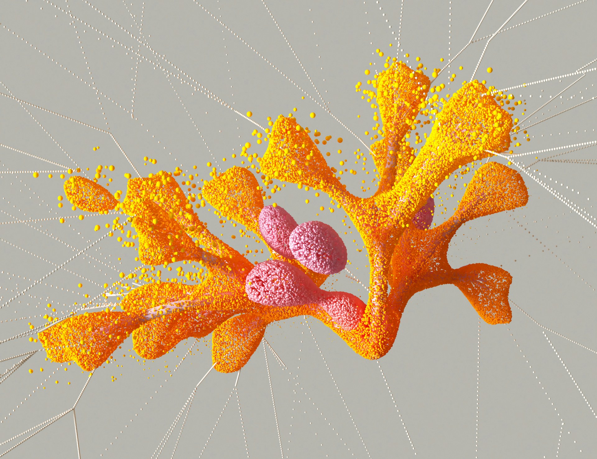 MQ BioLabs