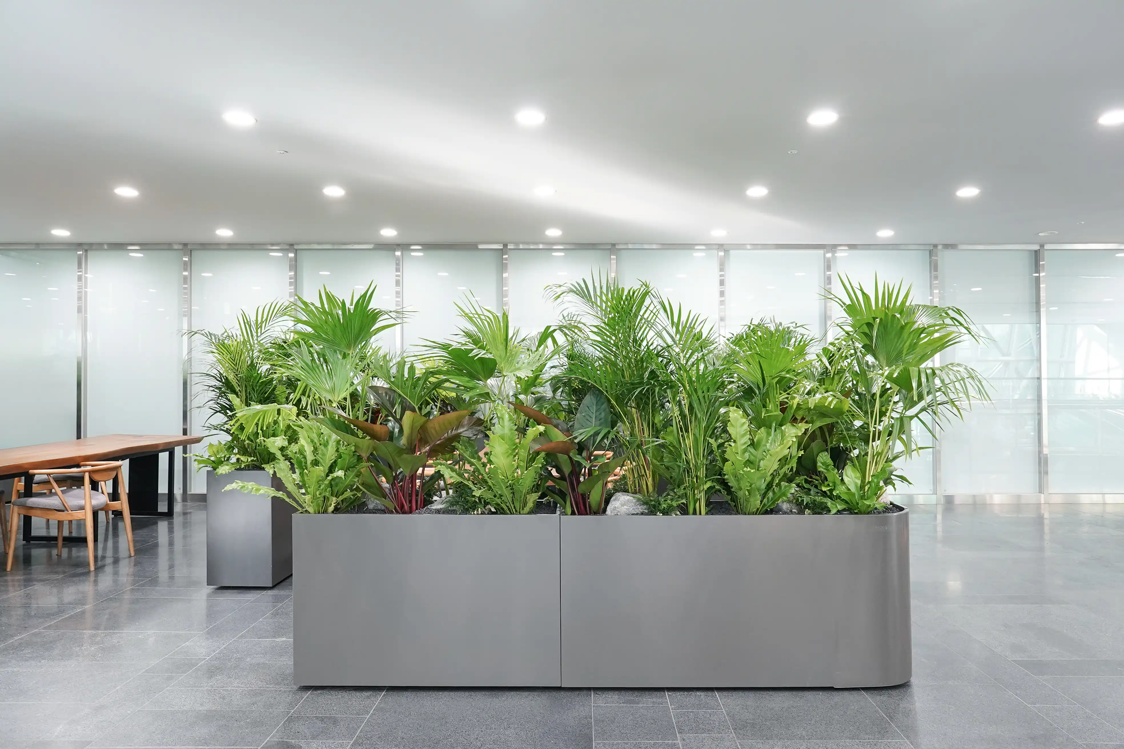 서울시청 로비에 조성된 실내조경