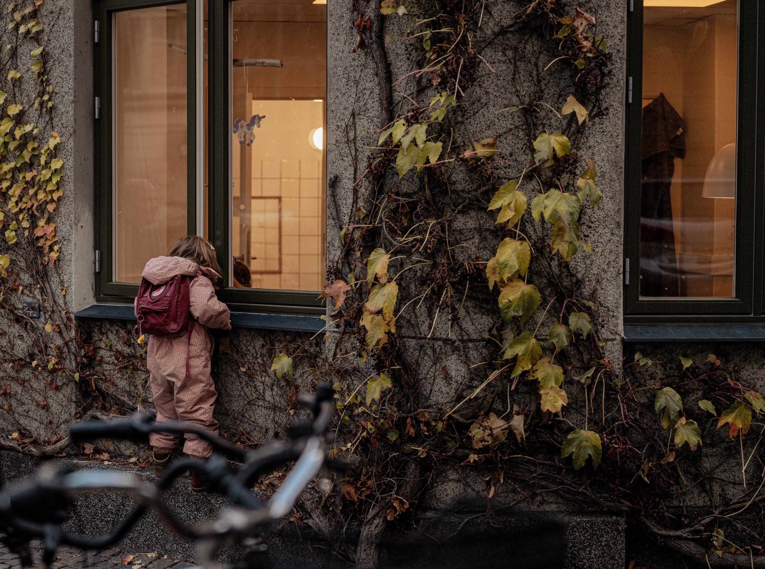 Window Shopping