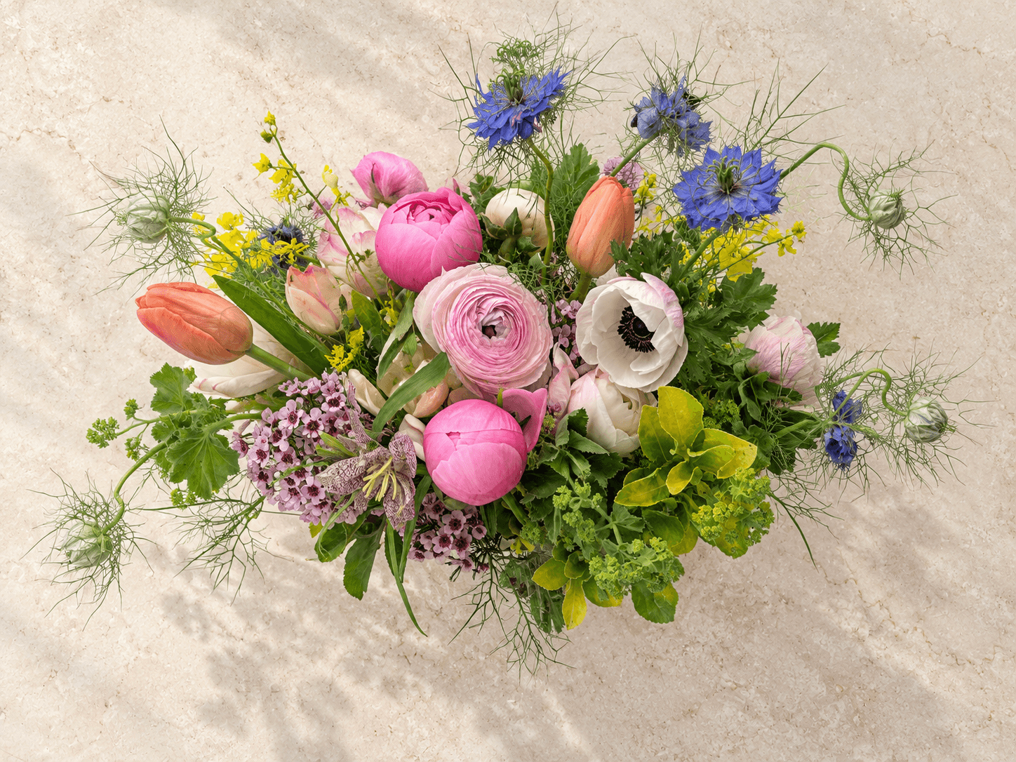 Blush Reverie — top view