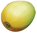Yellow coffee cherry illustration — representing the natural upcycled base of Cascara Cabinet’s sodas.