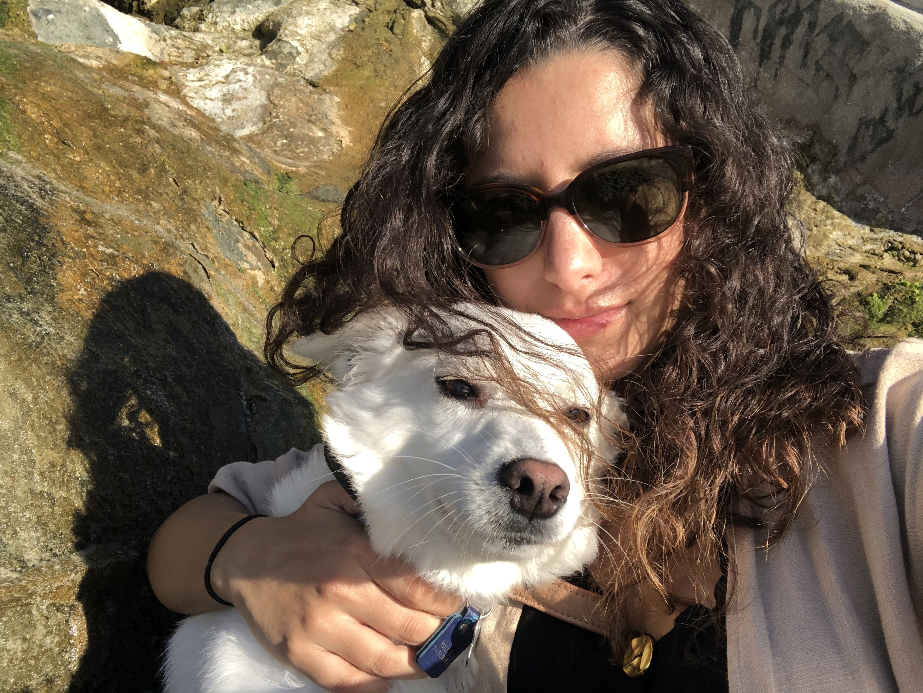 Dog owner setting realistic training goals and tracking progress with their dog