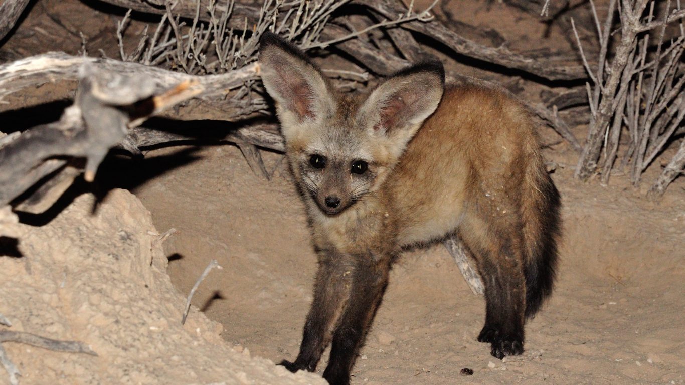Family on the Plains
