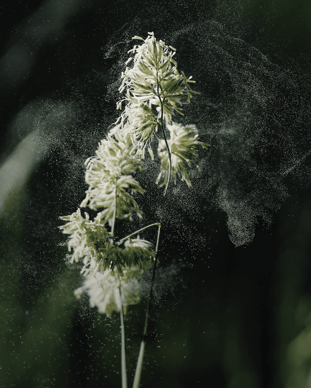 A soft-toned watercolor painting depicting a mountainous landscape with earthy hues and a flowing stream