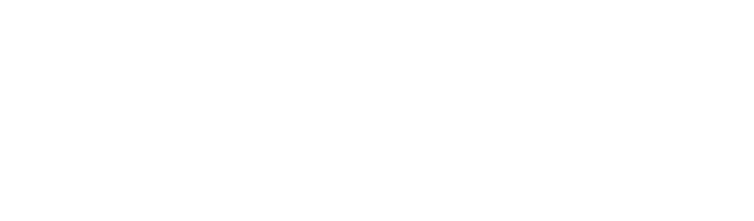 dooly logo