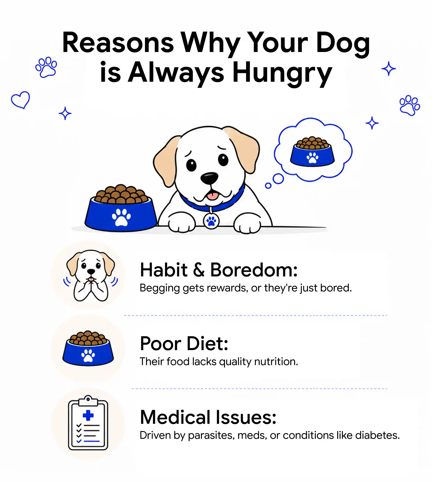An infographic displaying the reasons why your dog is always hungry.